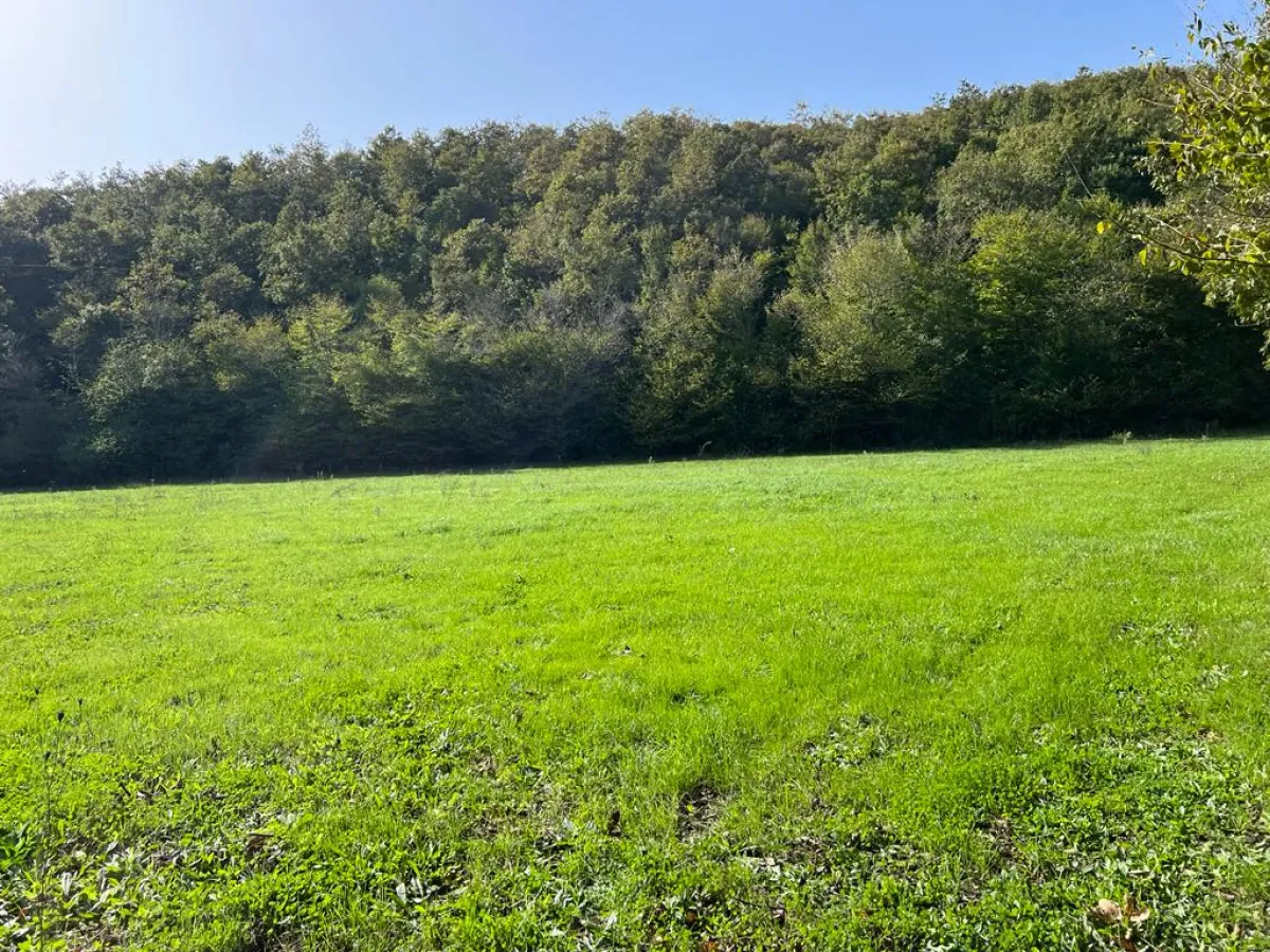 ÇATALCA ORMANLIDA SATILIK 2.457 M² TARLA