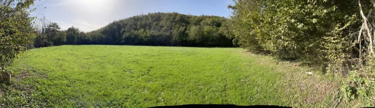 ÇATALCA ORMANLIDA SATILIK 2.457 M² TARLA - Büyük 1