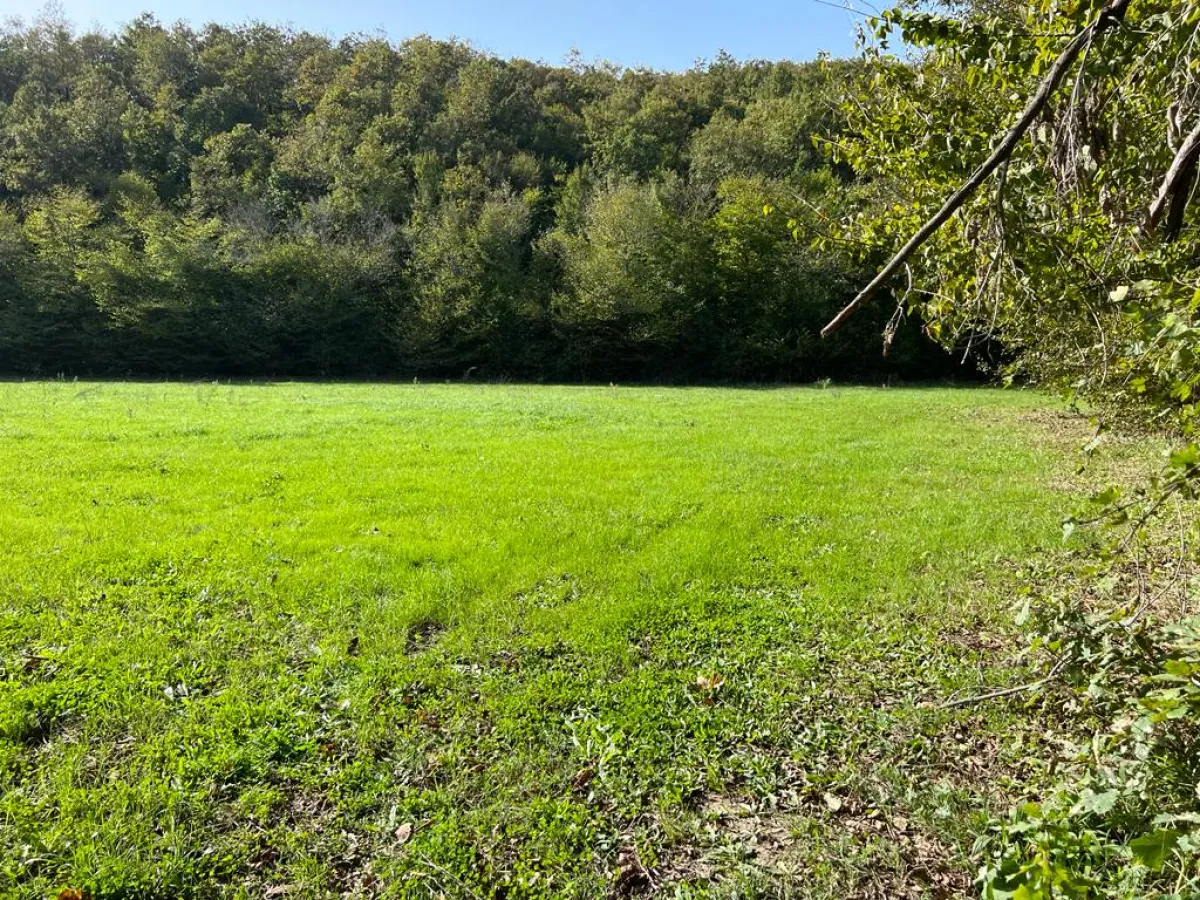 ÇATALCA ORMANLIDA SATILIK 2.457 M² TARLA - Büyük 4