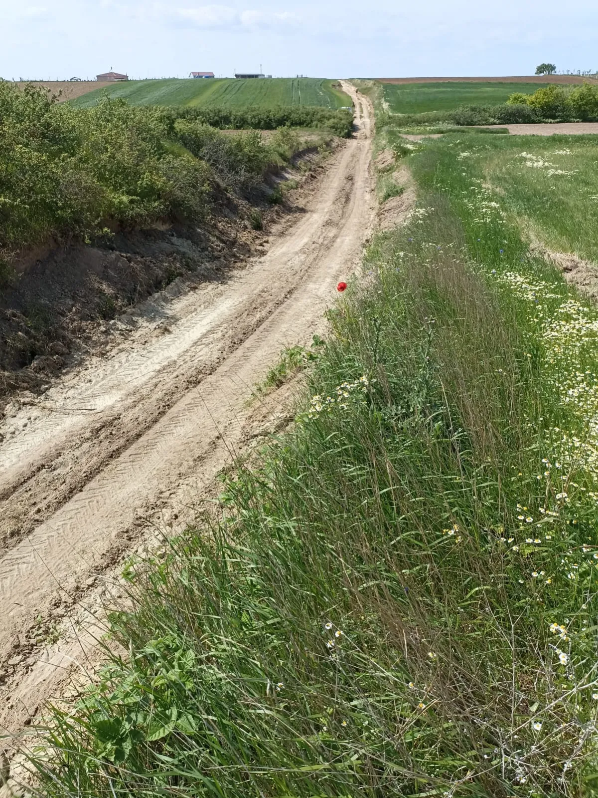 Tekirdağ Saray'da 7.182 M² Satılık Tarla - Büyük 3