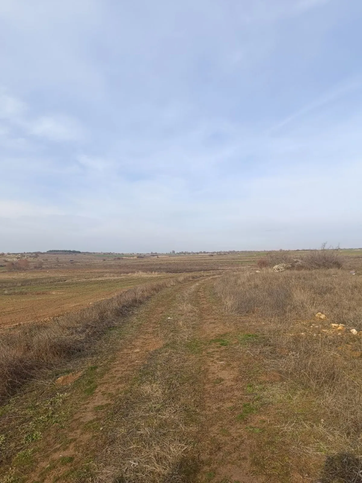 Edirne Süloğlu Cumhuriyet Mah. 2530 m2 Satılık Tarla - Büyük 1