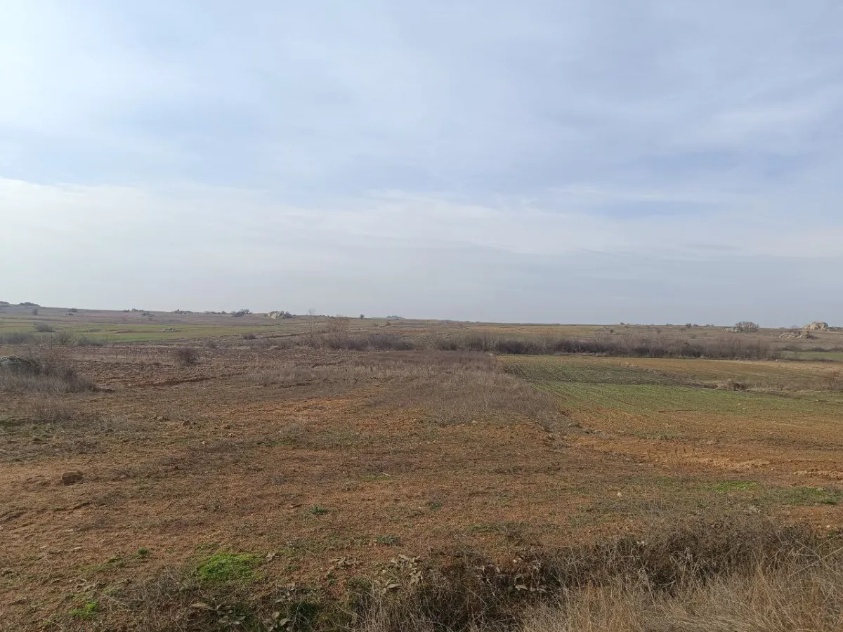 Edirne Süloğlu Cumhuriyet Mah. 2530 m2 Satılık Tarla - Büyük 2