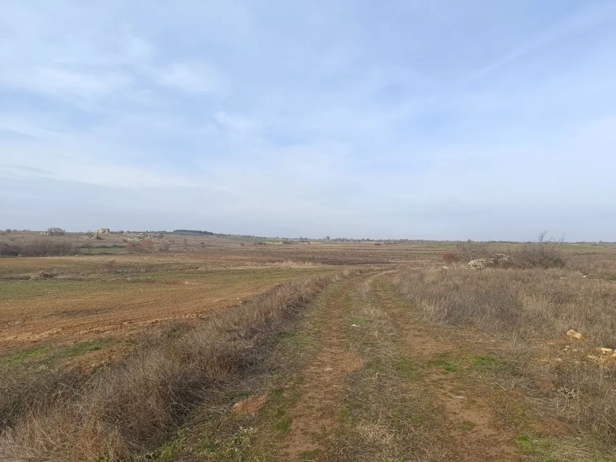 Edirne Süloğlu Cumhuriyet Mah. 2530 m2 Satılık Tarla - Büyük 3