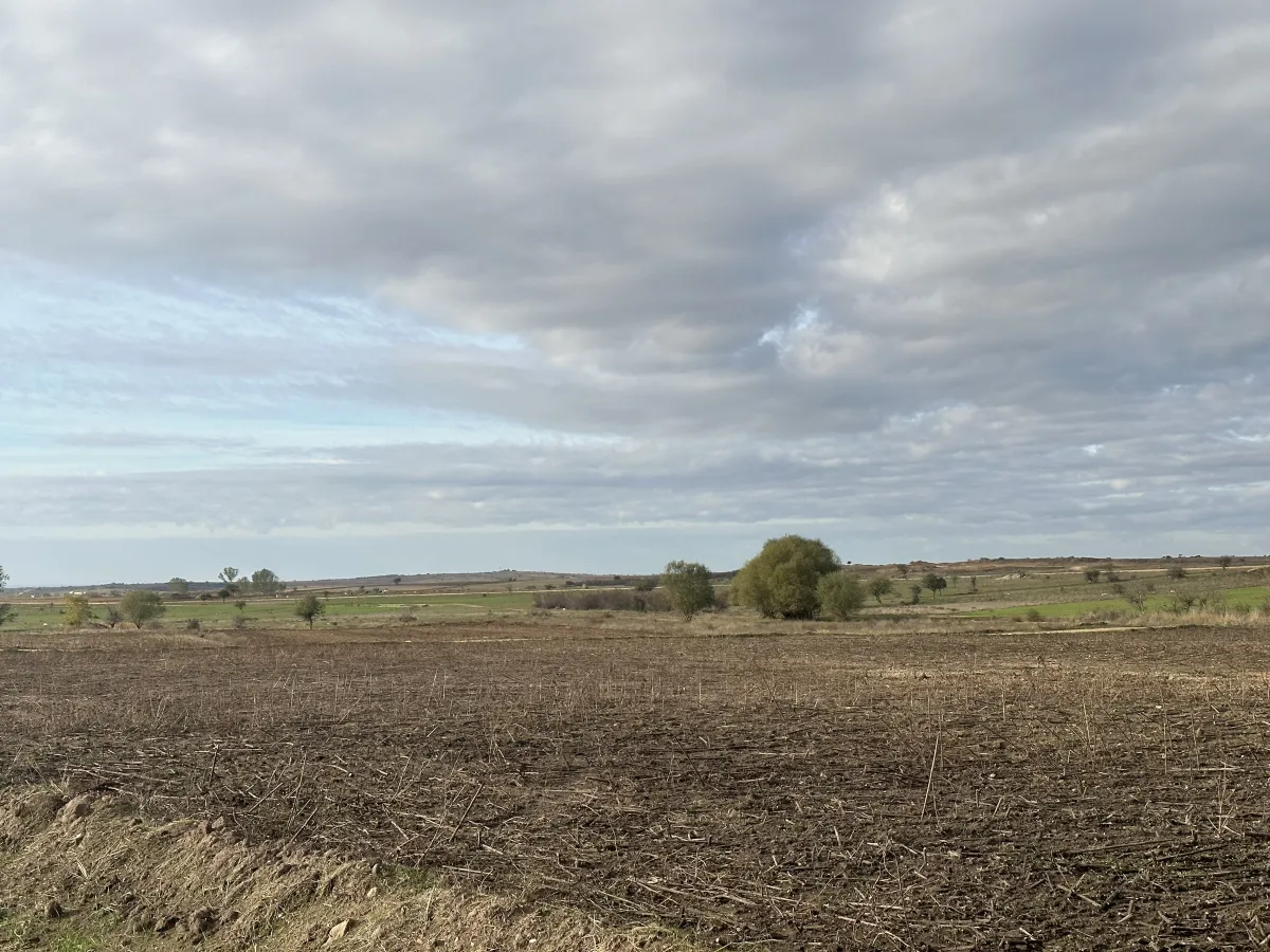 Silivri Değirmenköyde  4050 M2  Satılık Tarla