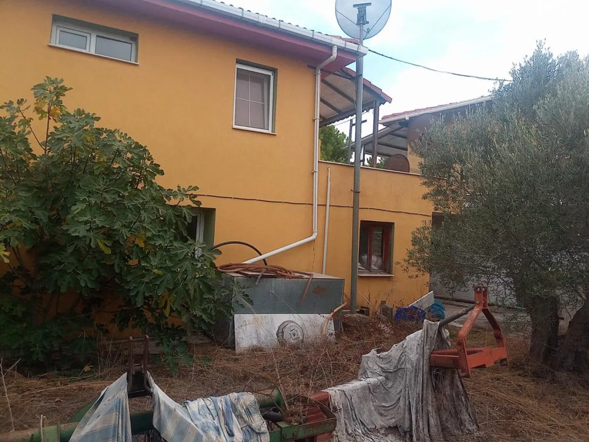 İZMİR DİKİLİDE SATILIK 164.600 M² ZEYTİNLİK - Büyük 4