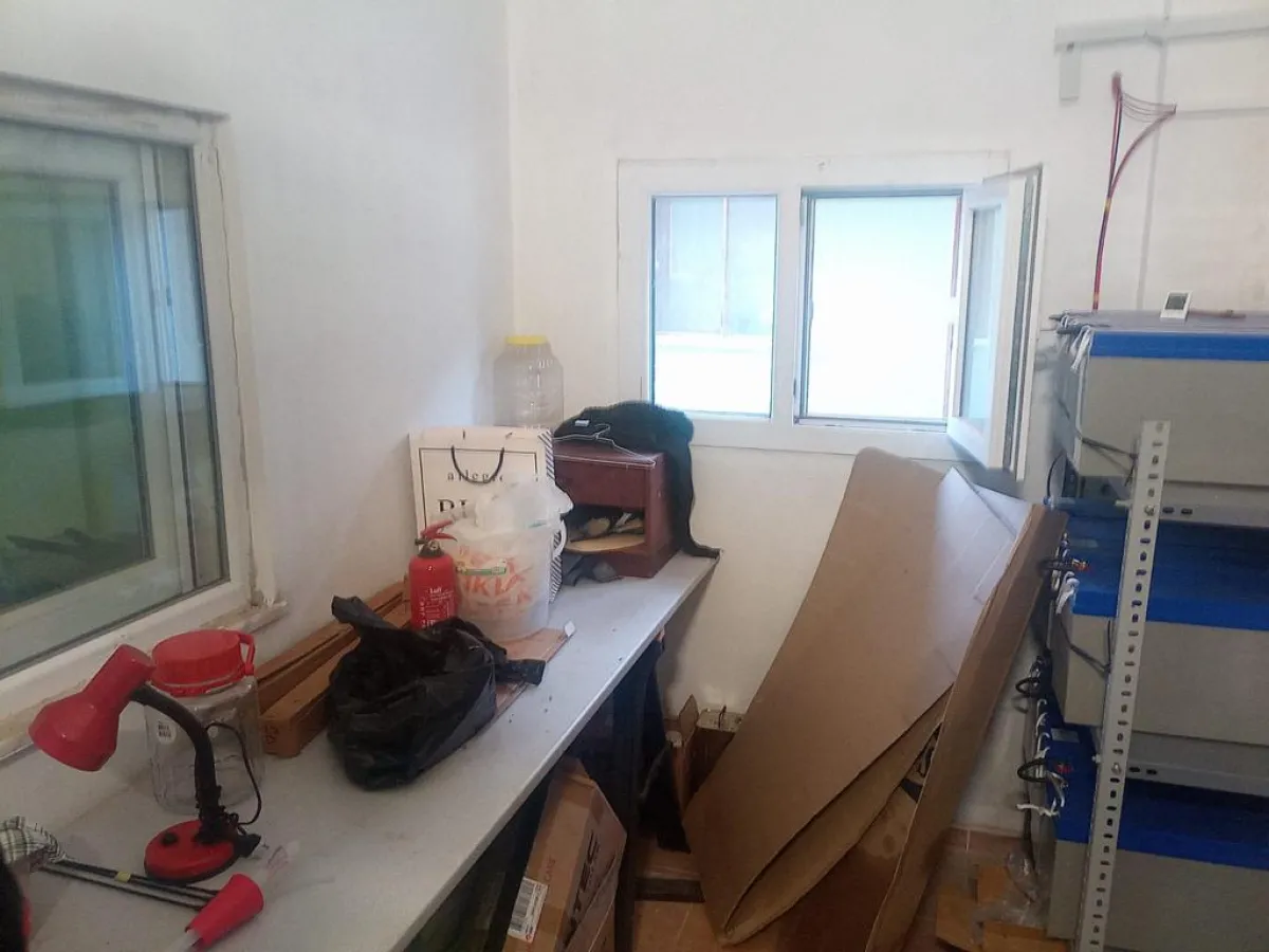 İZMİR DİKİLİDE SATILIK 164.600 M² ZEYTİNLİK - Büyük 6