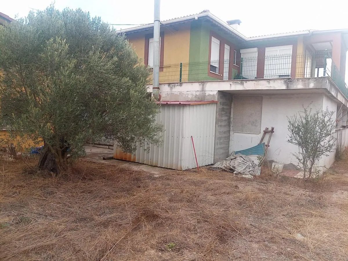 İZMİR DİKİLİDE SATILIK 164.600 M² ZEYTİNLİK - Büyük 8