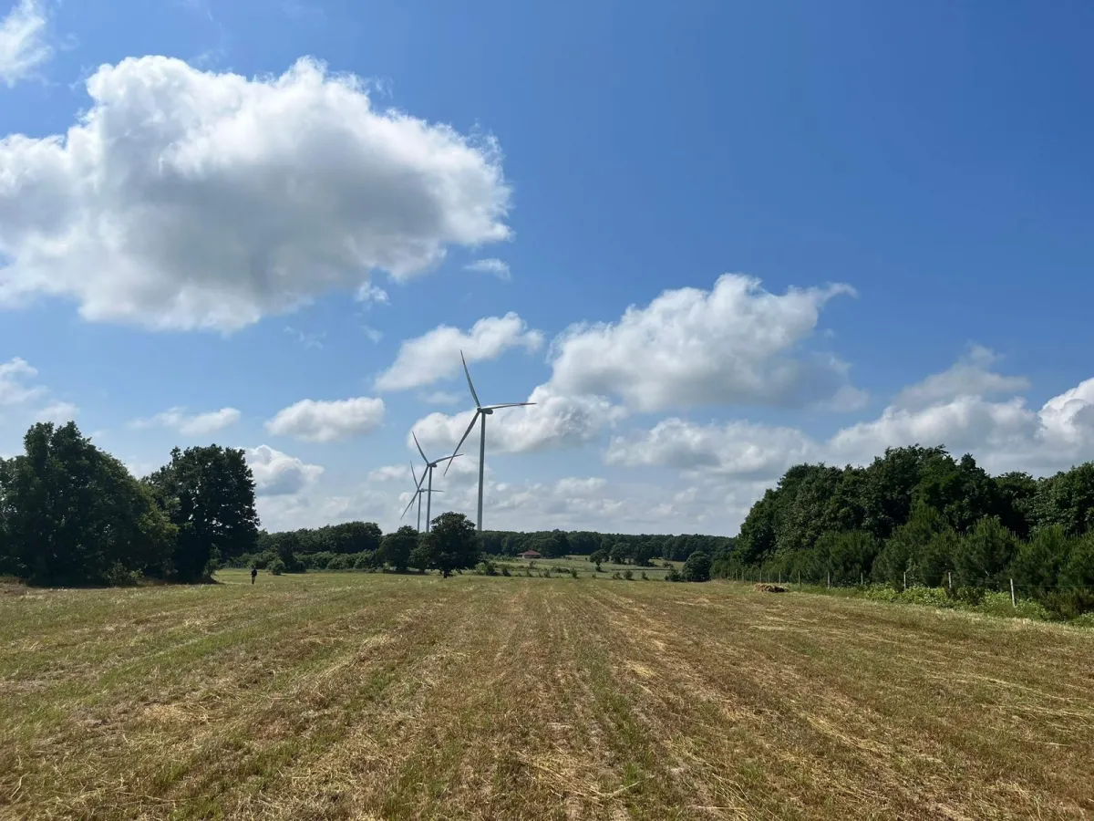 Sayalarda Satılık Tarla - Büyük 1