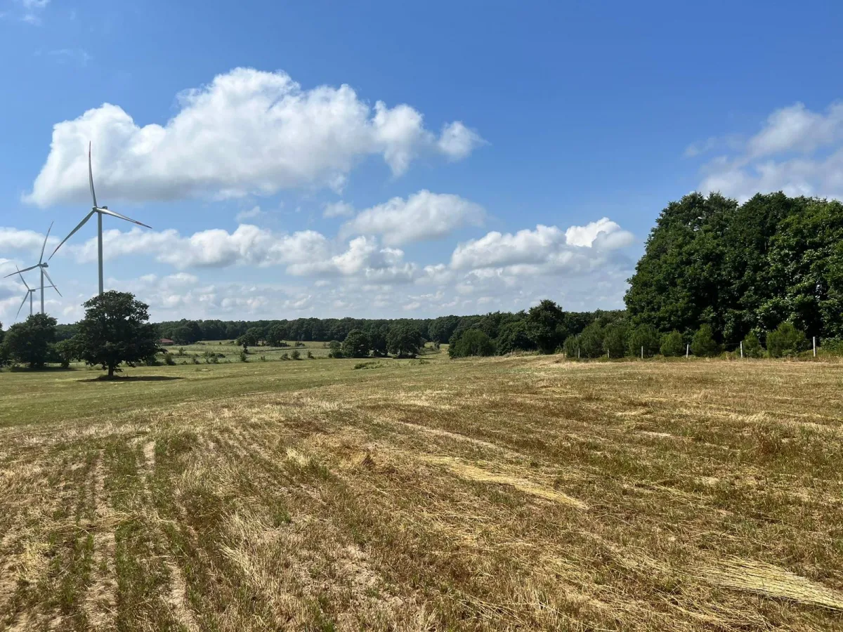 Sayalarda Satılık Tarla - Büyük 2