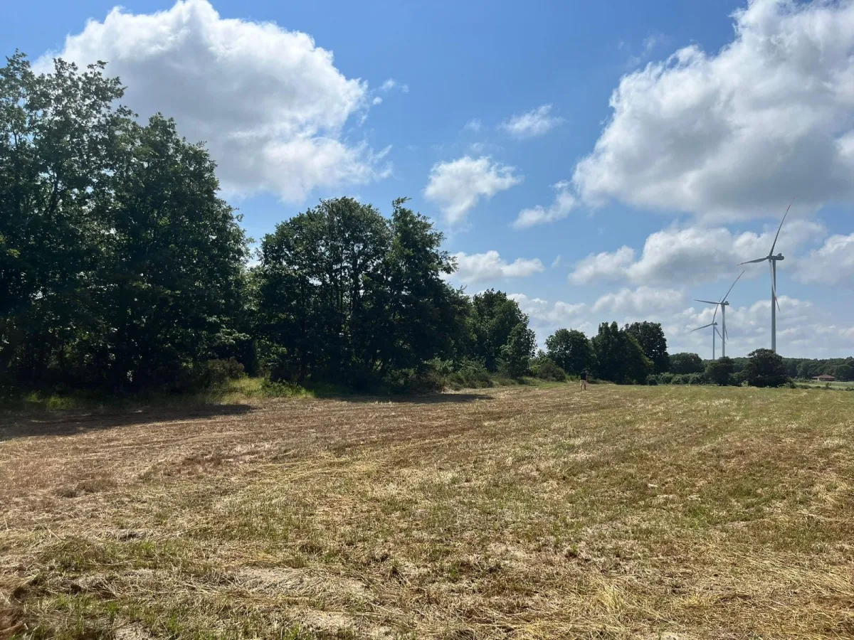 Sayalarda Satılık Tarla - Büyük 3