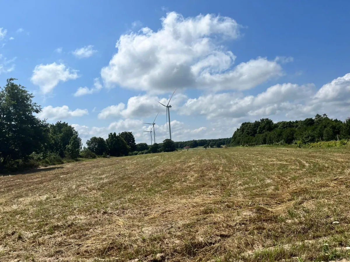 Sayalarda Satılık Tarla - Büyük 4