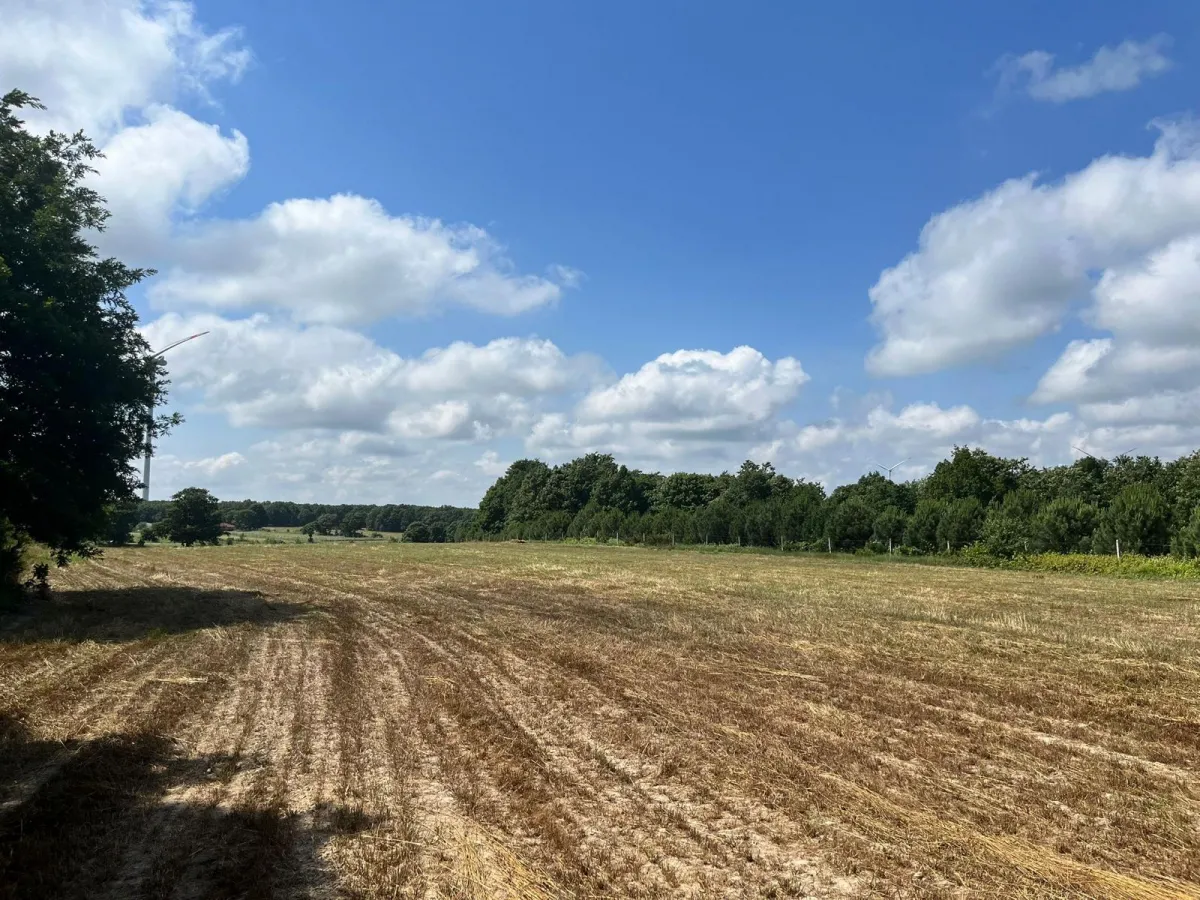 Sayalarda Satılık Tarla - Büyük 5