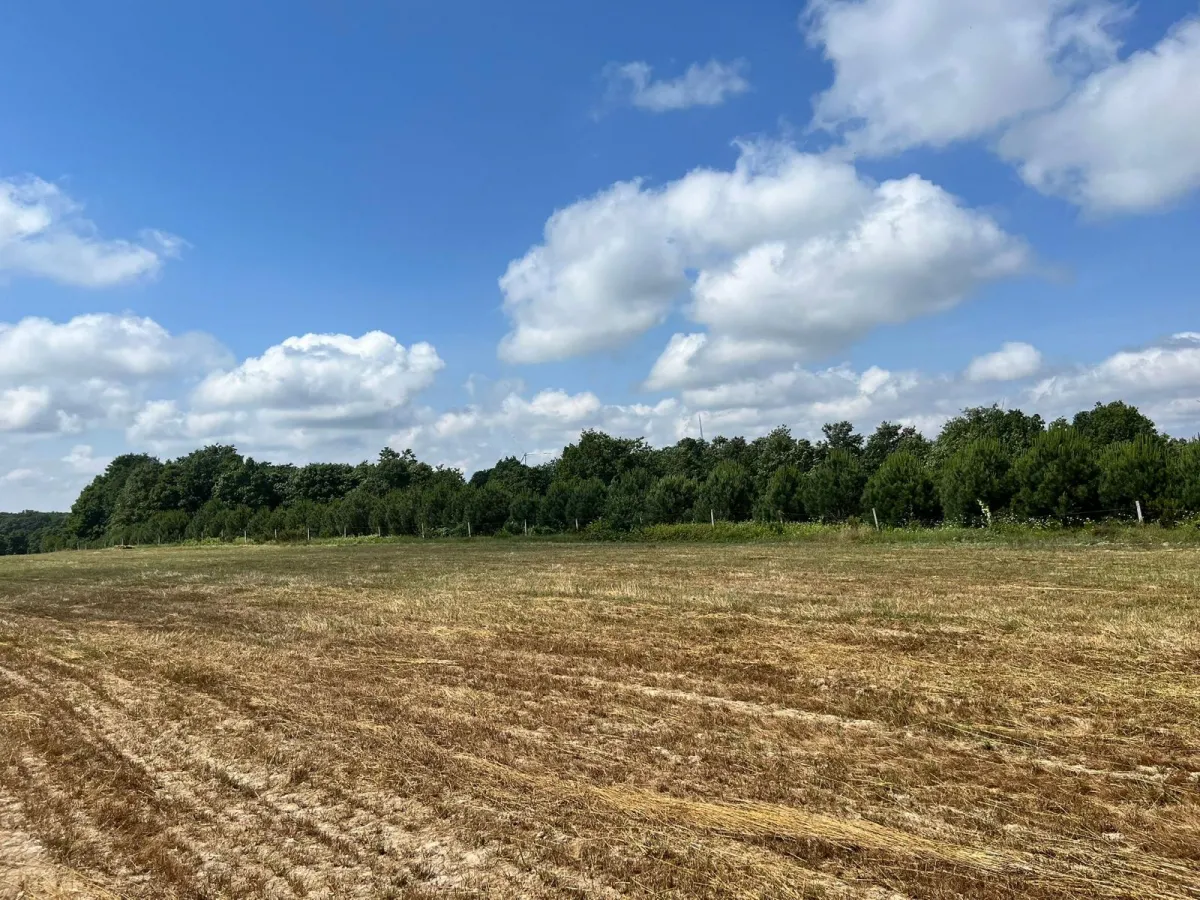 Sayalarda Satılık Tarla - Büyük 6