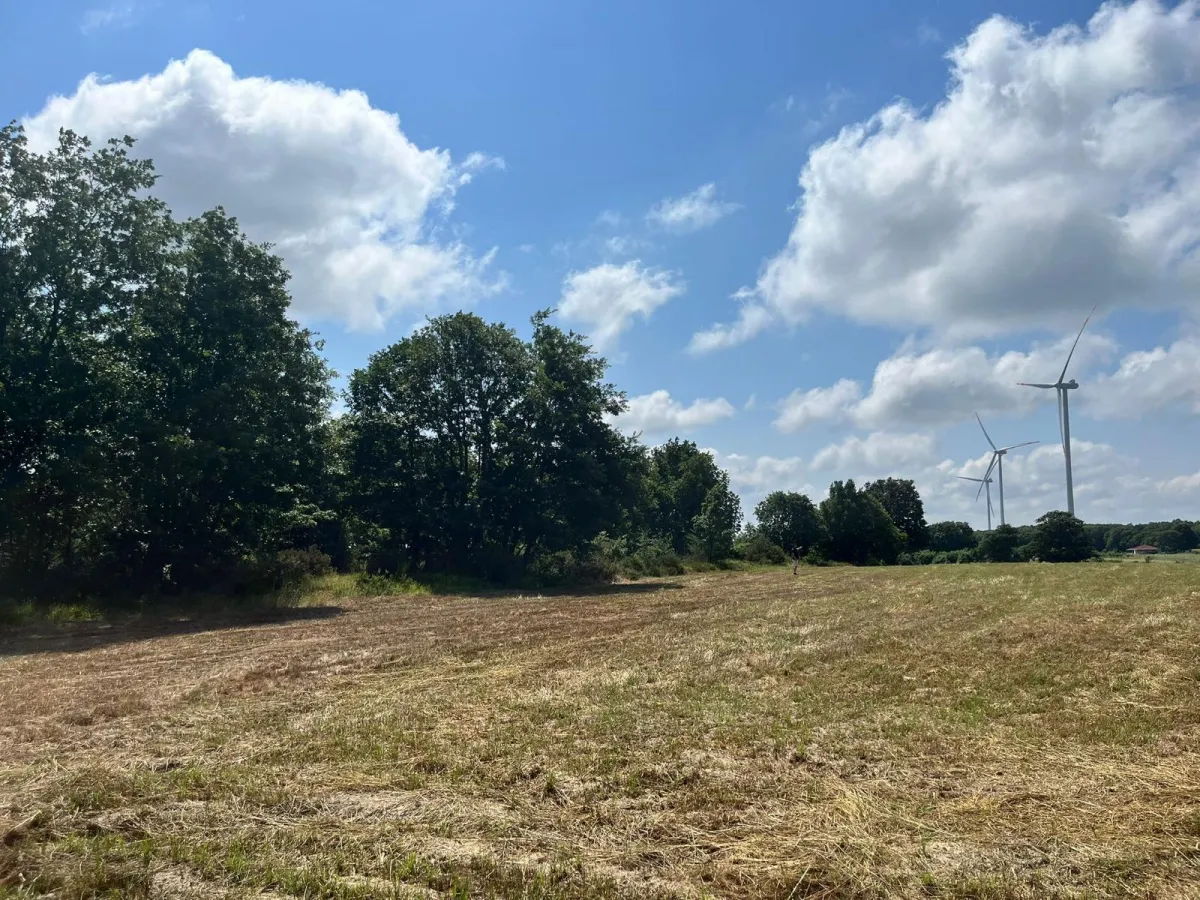 Sayalarda Satılık Tarla - Büyük 7