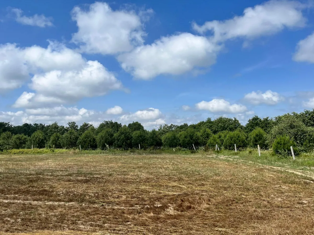 Sayalarda Satılık Tarla - Büyük 8