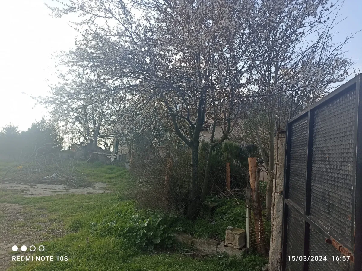 Tekirdağ Muratlı Kepenekli'de 4791m² İmarlı Arsa - Büyük 5