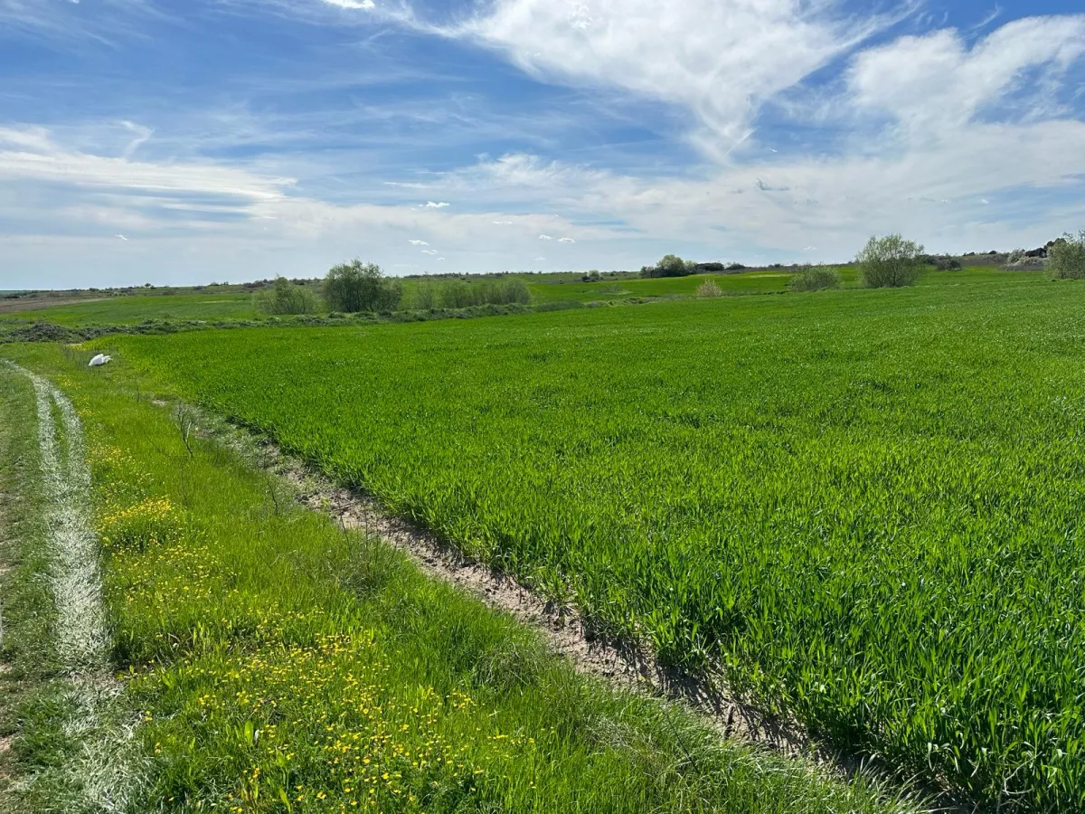 Edirne Süloglu'da Baraja Yakın Satılık Tarla - Büyük 2