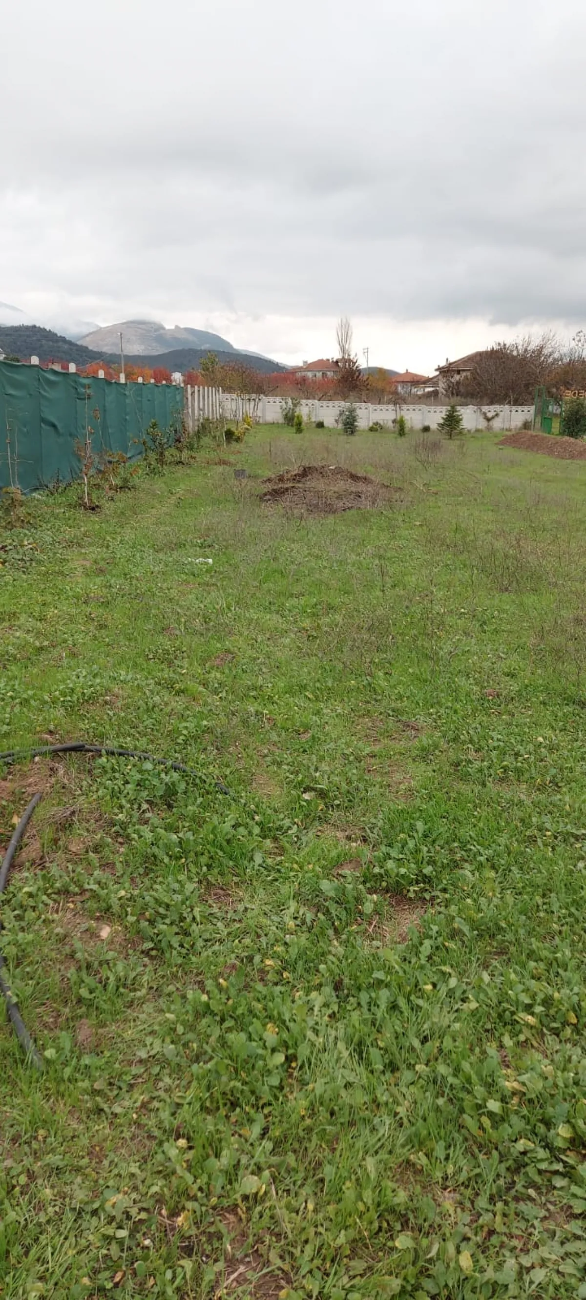 Sakarya Pamukova Bacıköy'de Satılık Bağ Bahçe - Büyük 4