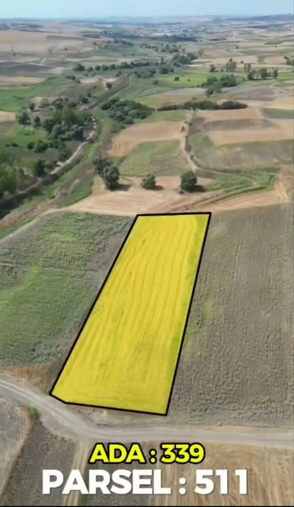 PARSELASYONA UYGUN SATILIK TARLA 3 EŞİT HİSSE - Büyük 3