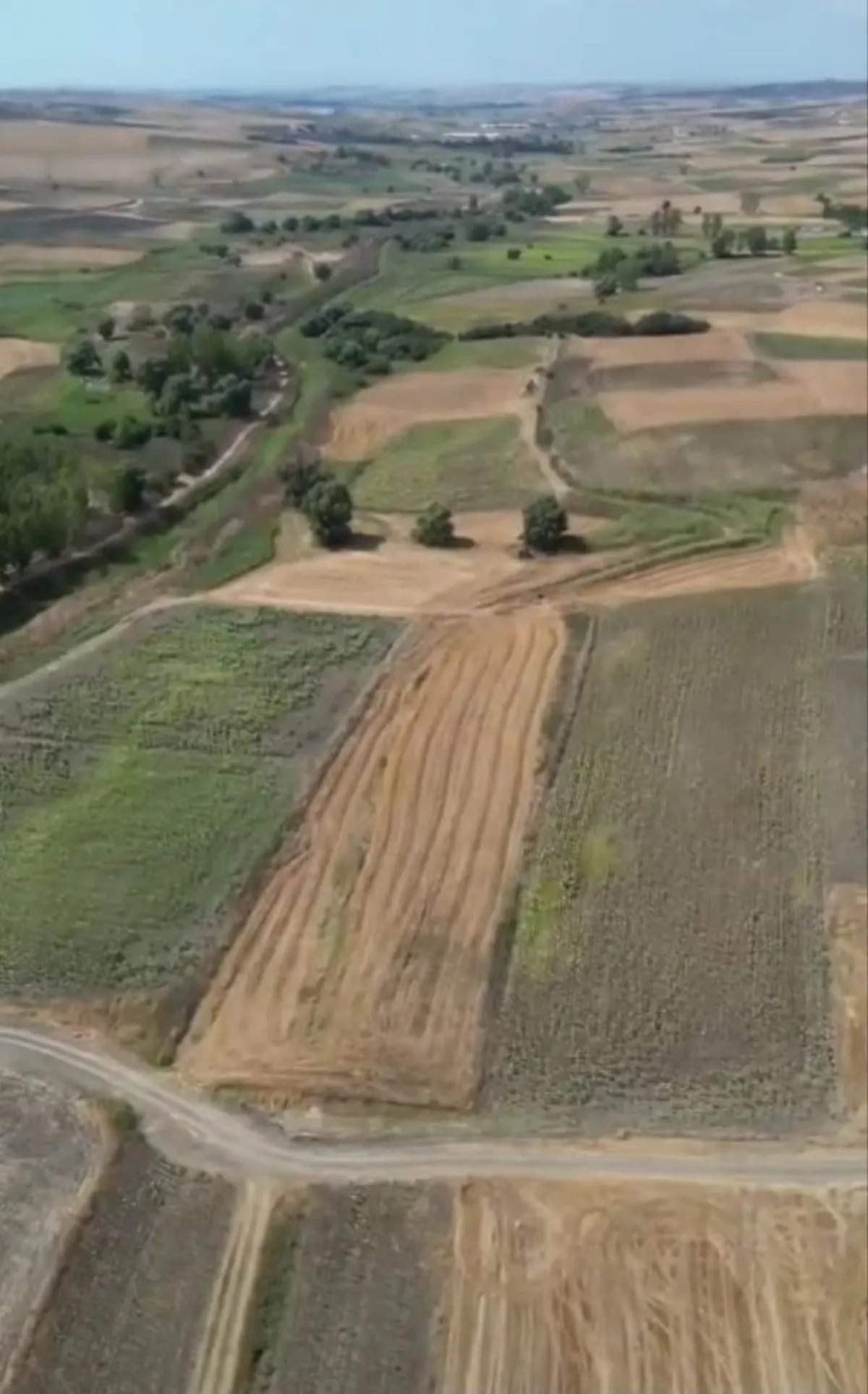 PARSELASYONA UYGUN SATILIK TARLA 3 EŞİT HİSSE - Büyük 5