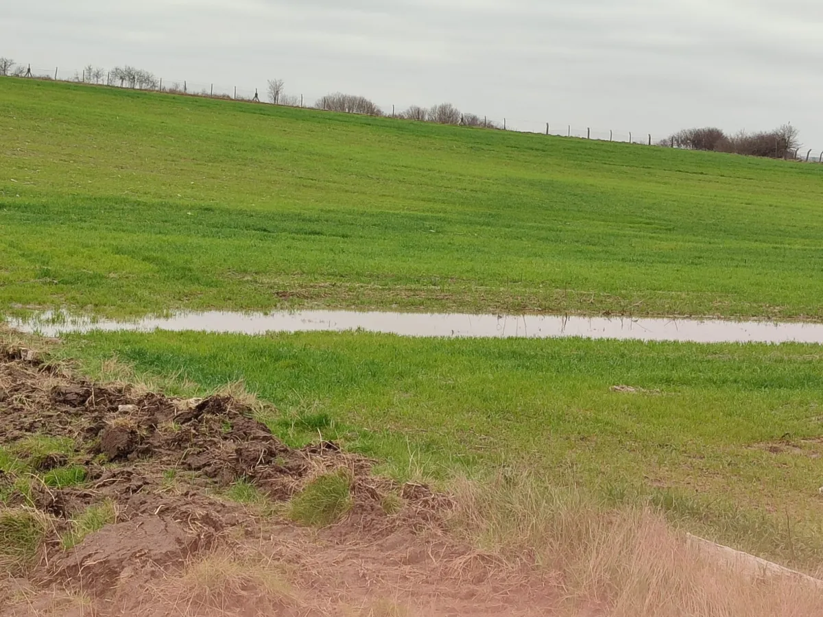 Tekirdağ Kapaklı'da 8.663 M²Satılık Tarla - Büyük 4