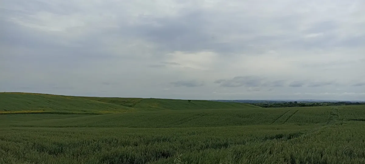 EDİRNE UZUNKÖPRÜDE SATILIK 29.543 M² TARLA - Büyük 2