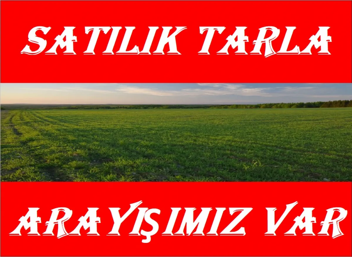 Edirne Kırklareli Tekirdağ'da 1000 Dönüm Tarla Arayışımız var