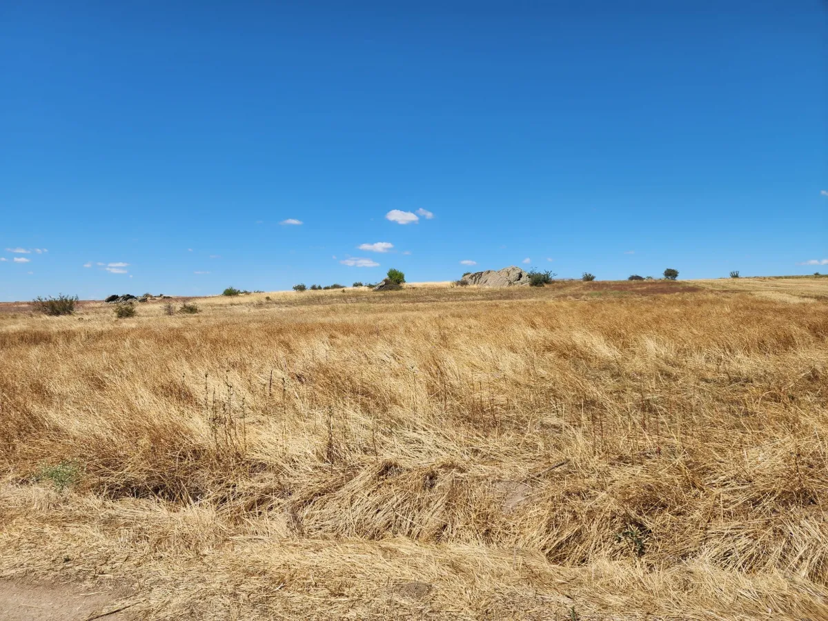 Edirne Süloğlu Cumhuriyette 2.606 m² Satılık Tarla - Büyük 2