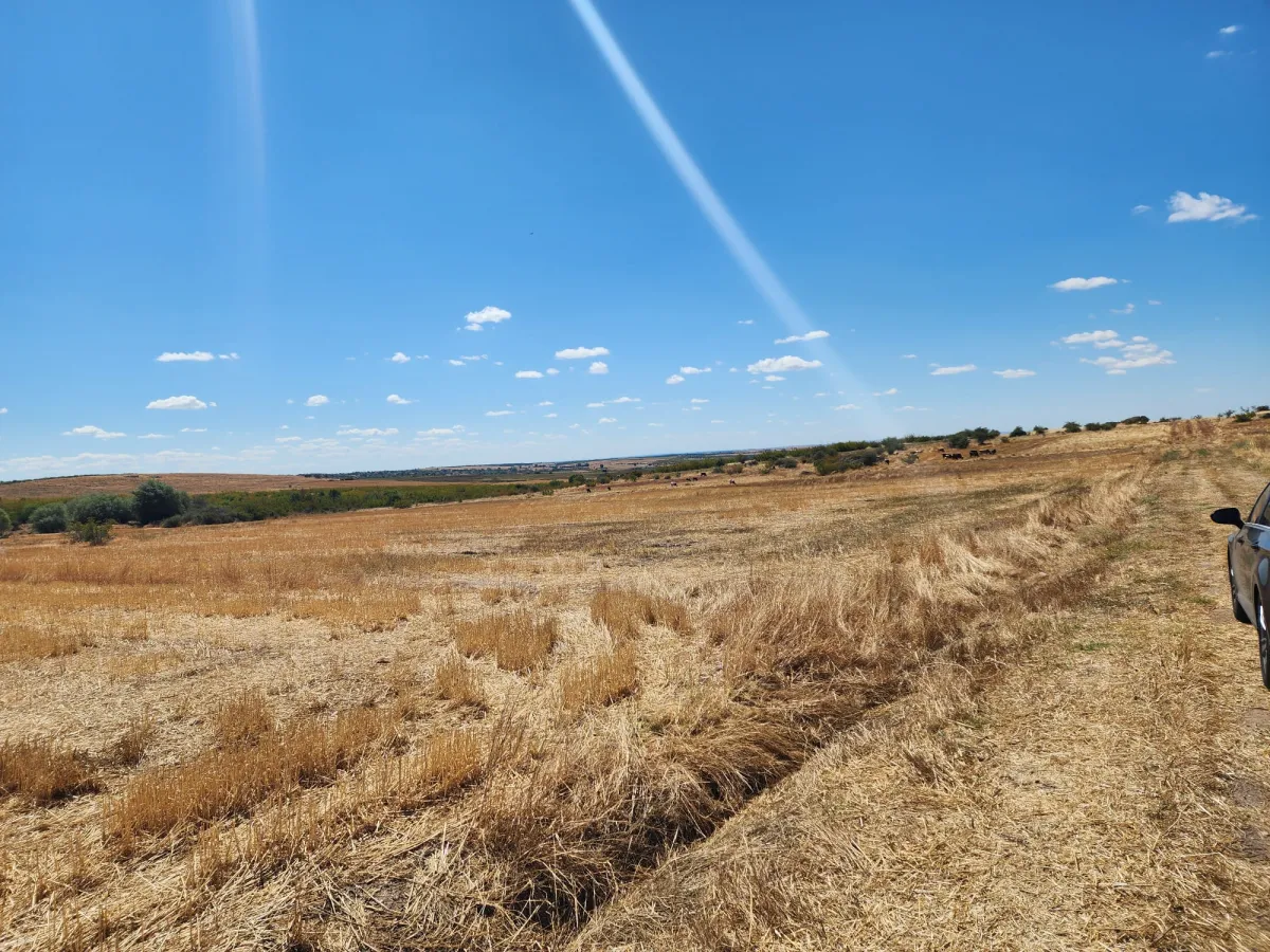 Edirne Süloğlu Cumhuriyette 2.606 m² Satılık Tarla - Büyük 4