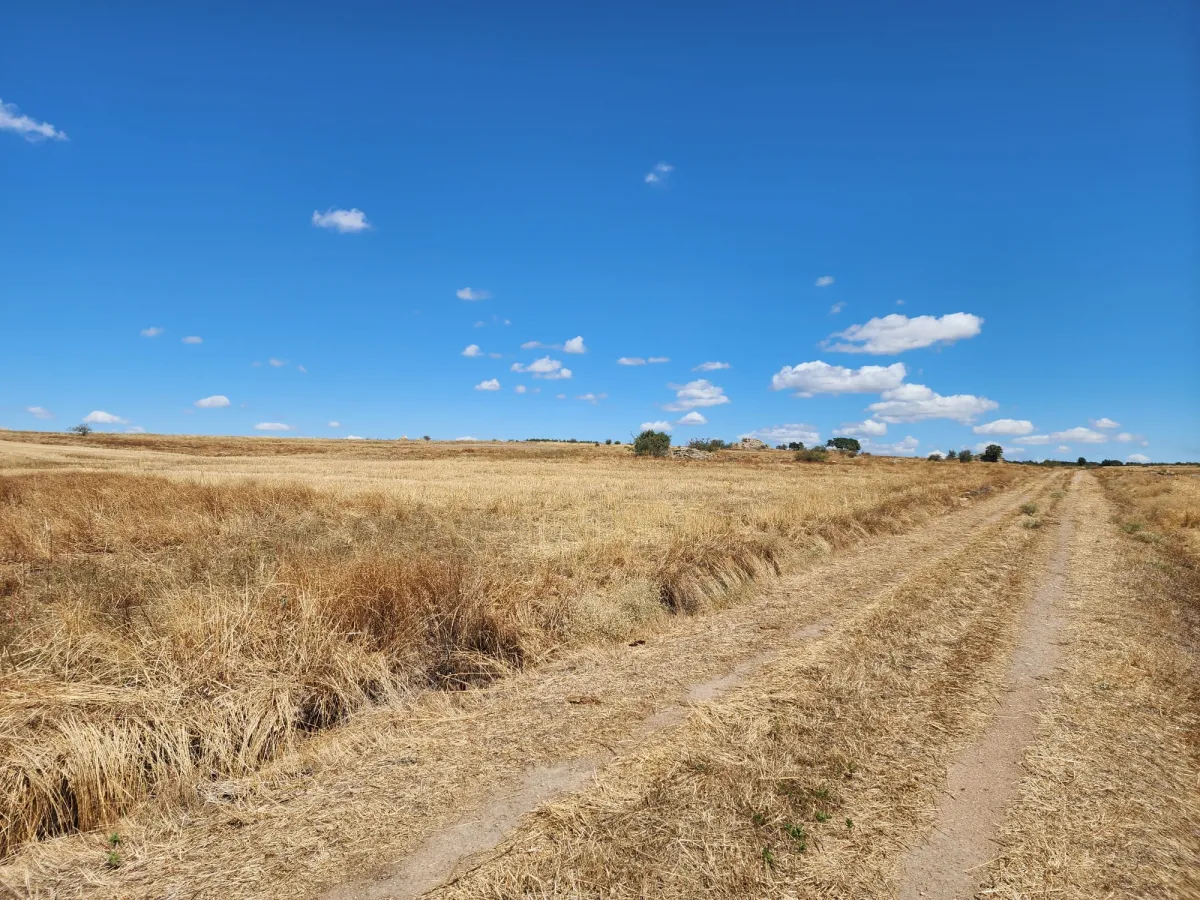 Edirne Süloğlu Cumhuriyette 2.606 m² Satılık Tarla - Büyük 6