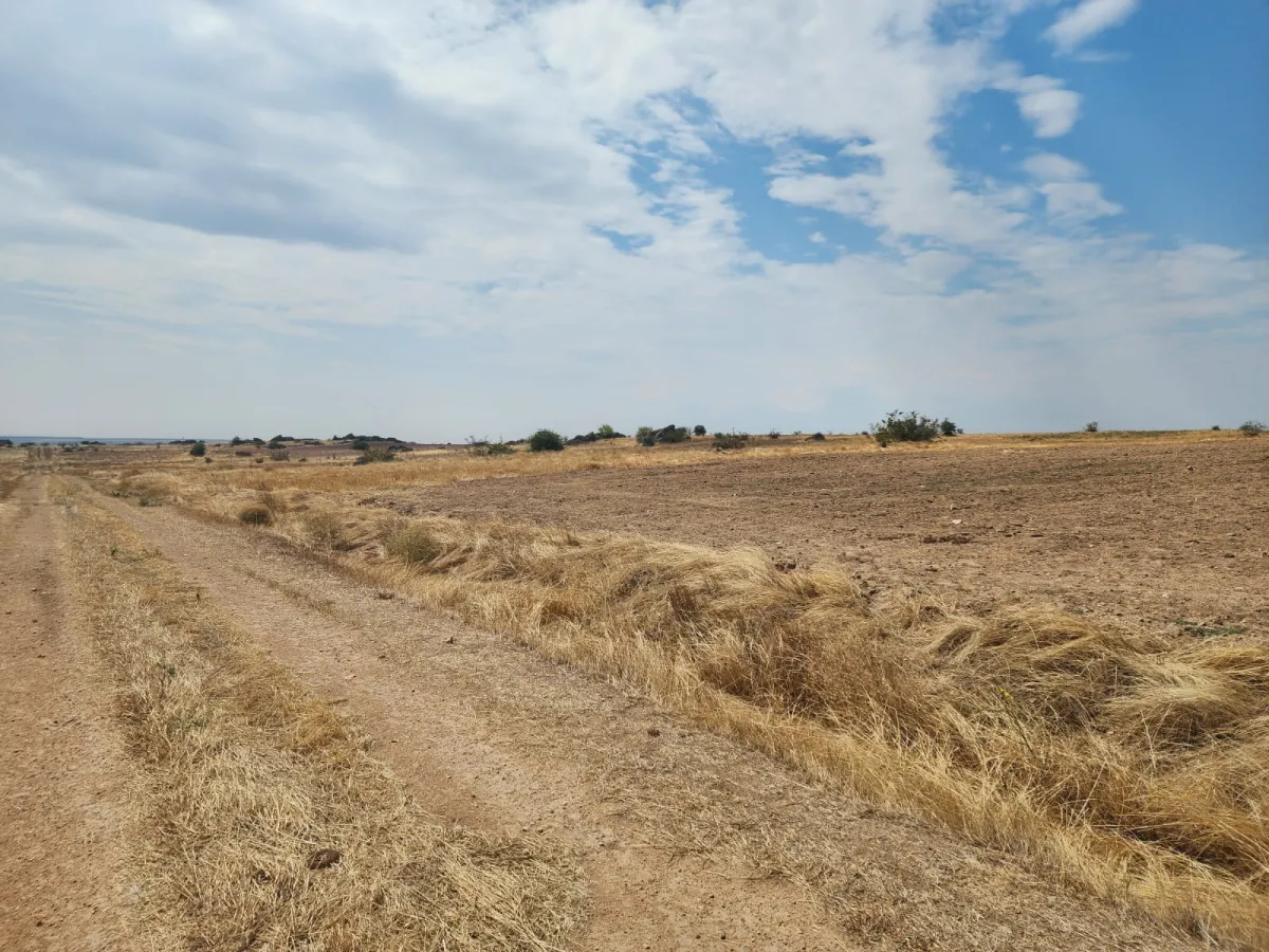 Edirne Cumhurıyet Mh Satılık Tarla - Büyük 2