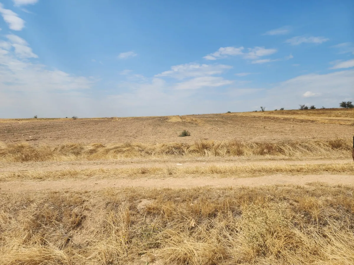 Edirne Cumhurıyet Mh Satılık Tarla - Büyük 4