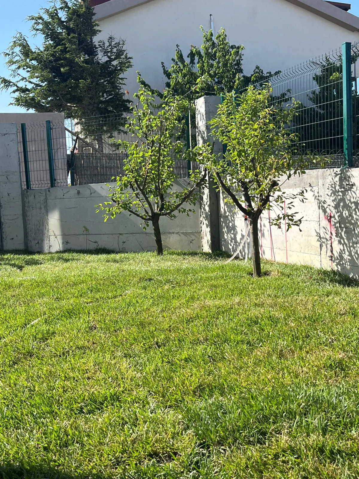İstanbul Karaburunda 2 Katlı Satılık Villa - Büyük 8