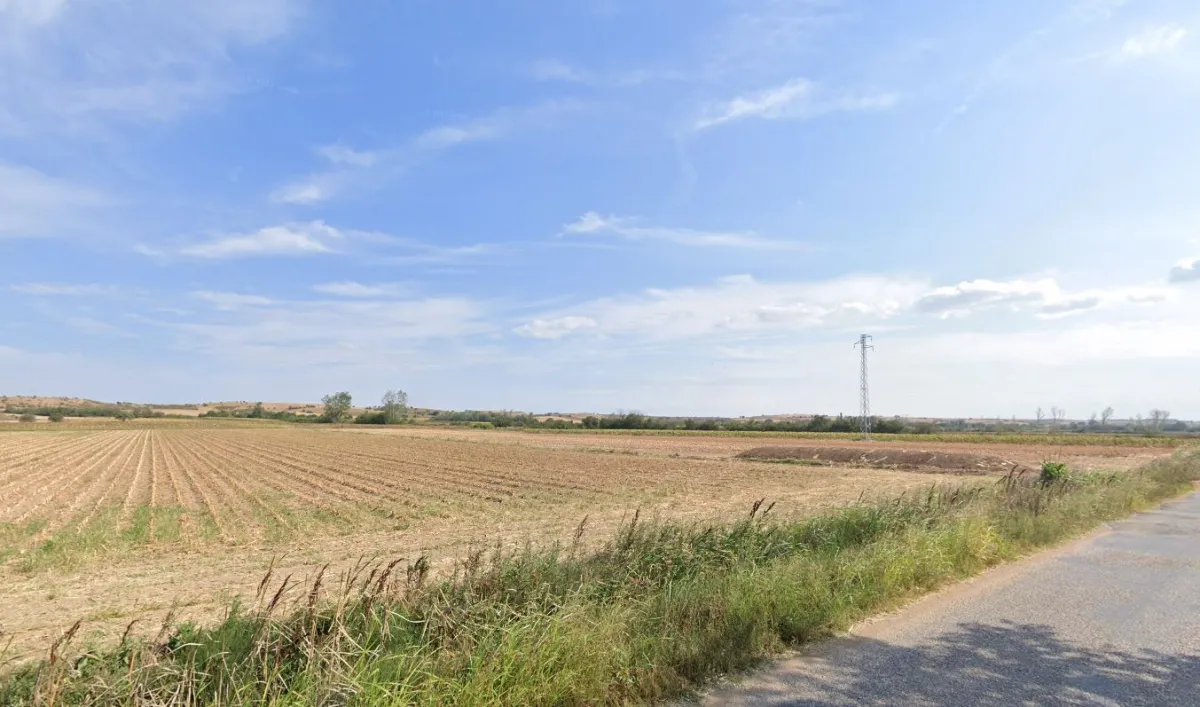 Asfalt Yola Cephe 9.100 M² Satılık Tarla