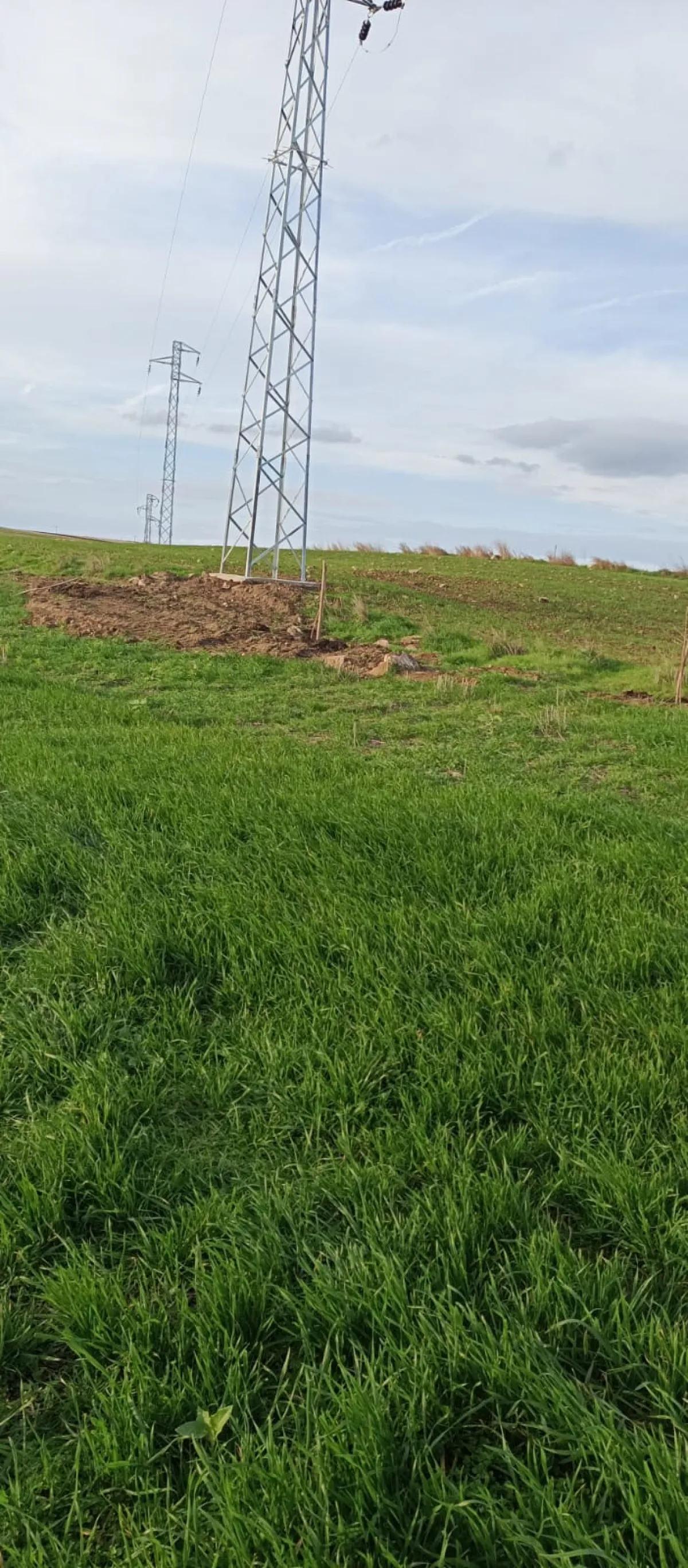 İçerisinde Çeşitli Meyve Fideleri Bulunan Su Kuyusu Yanı Başında - Büyük 10