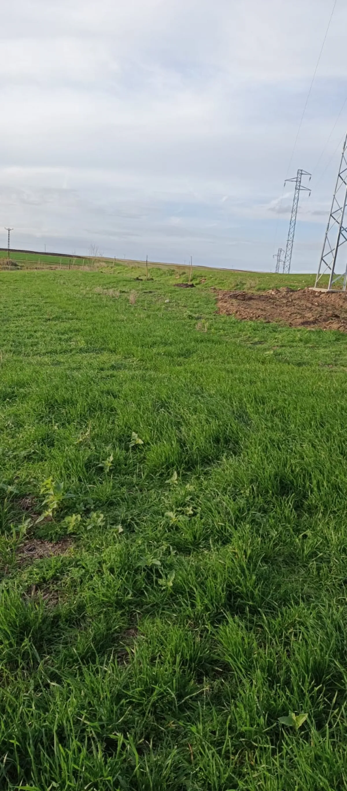 İçerisinde Çeşitli Meyve Fideleri Bulunan Su Kuyusu Yanı Başında - Büyük 11