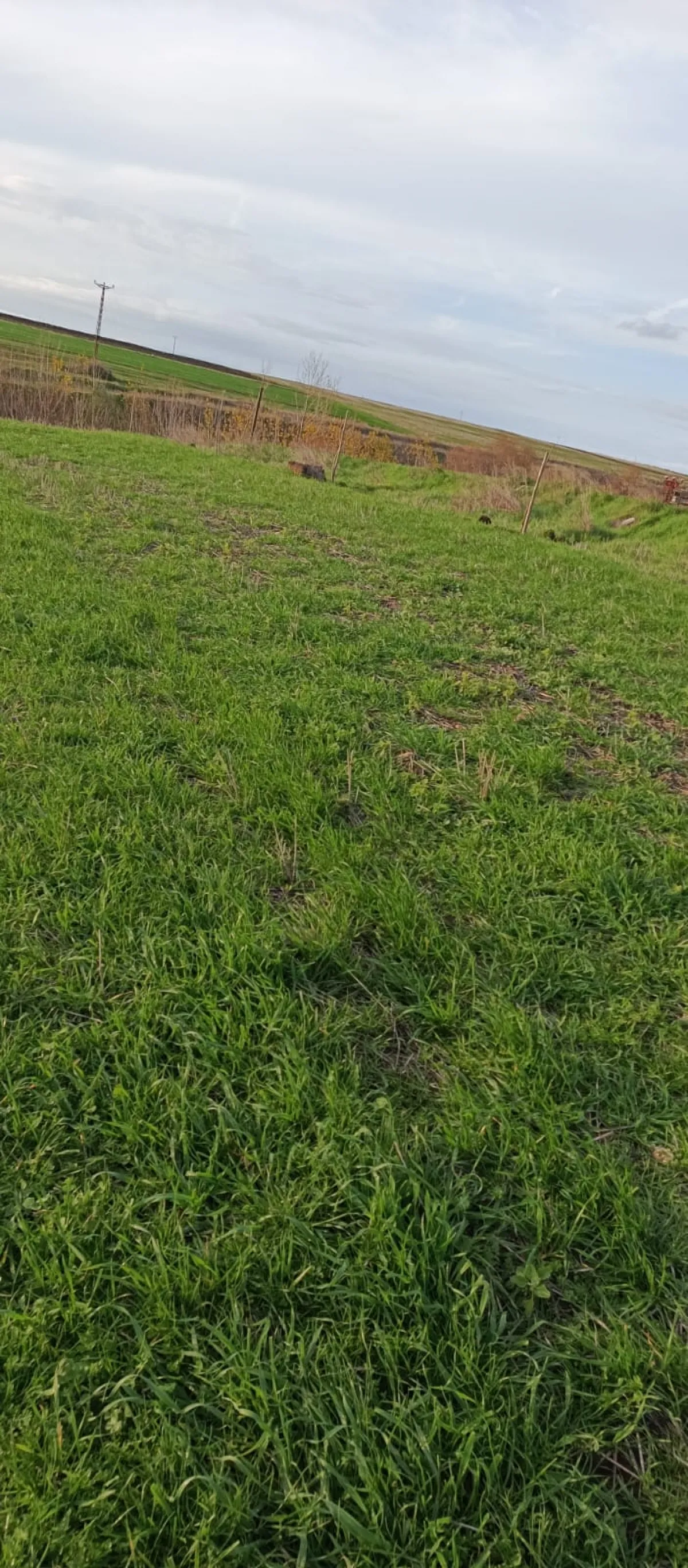 İçerisinde Çeşitli Meyve Fideleri Bulunan Su Kuyusu Yanı Başında - Büyük 13