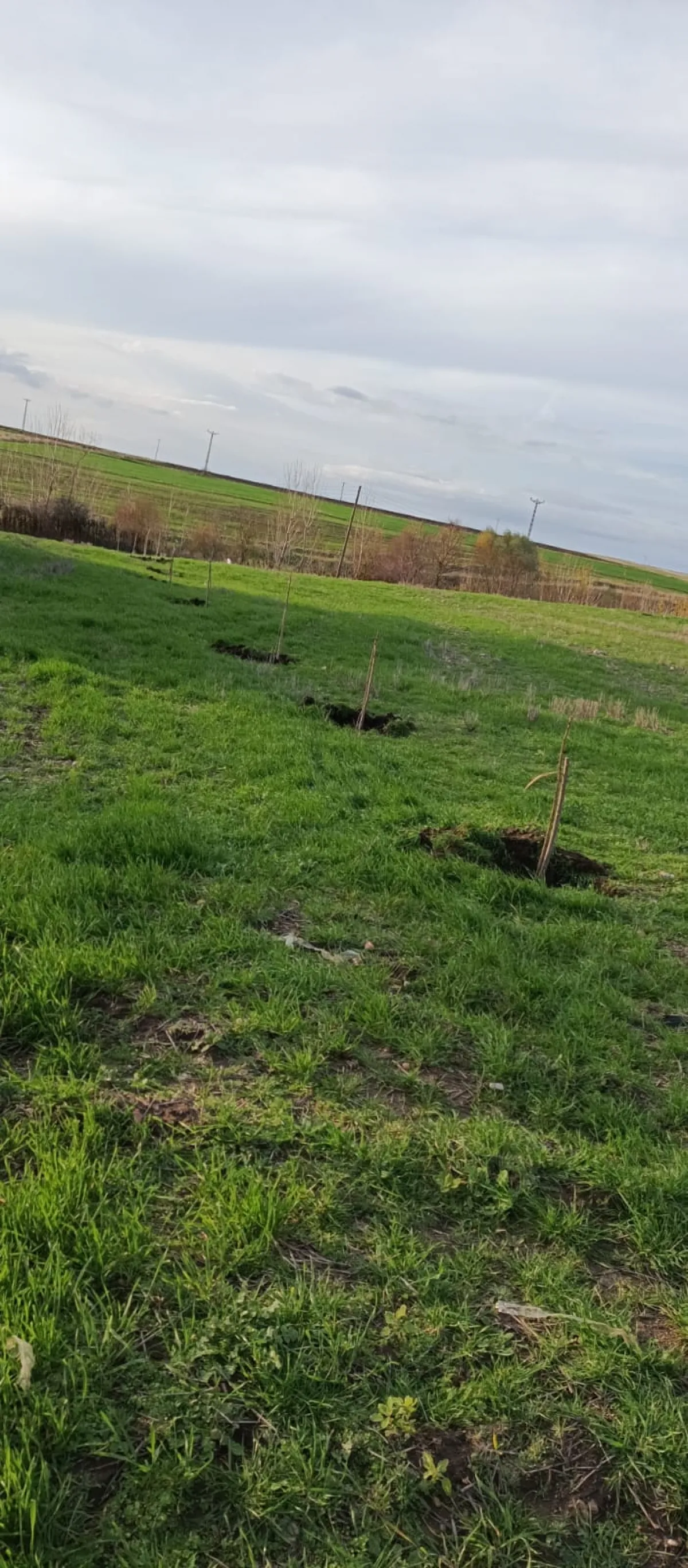 İçerisinde Çeşitli Meyve Fideleri Bulunan Su Kuyusu Yanı Başında - Büyük 15