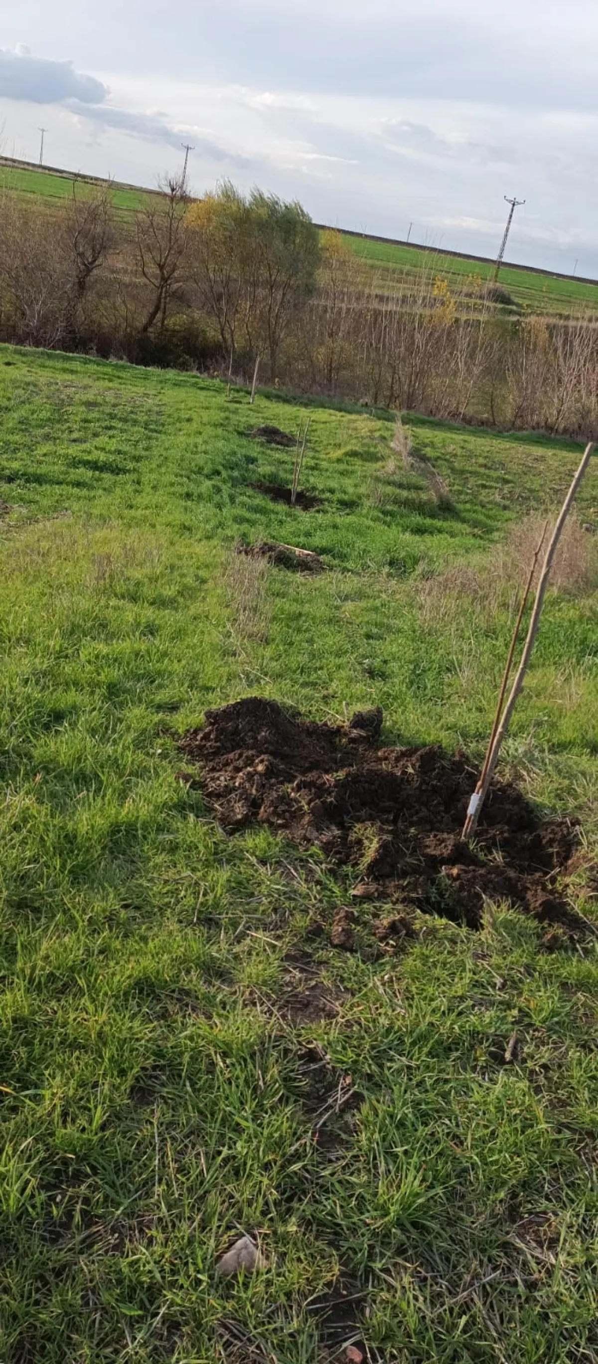 İçerisinde Çeşitli Meyve Fideleri Bulunan Su Kuyusu Yanı Başında - Büyük 3