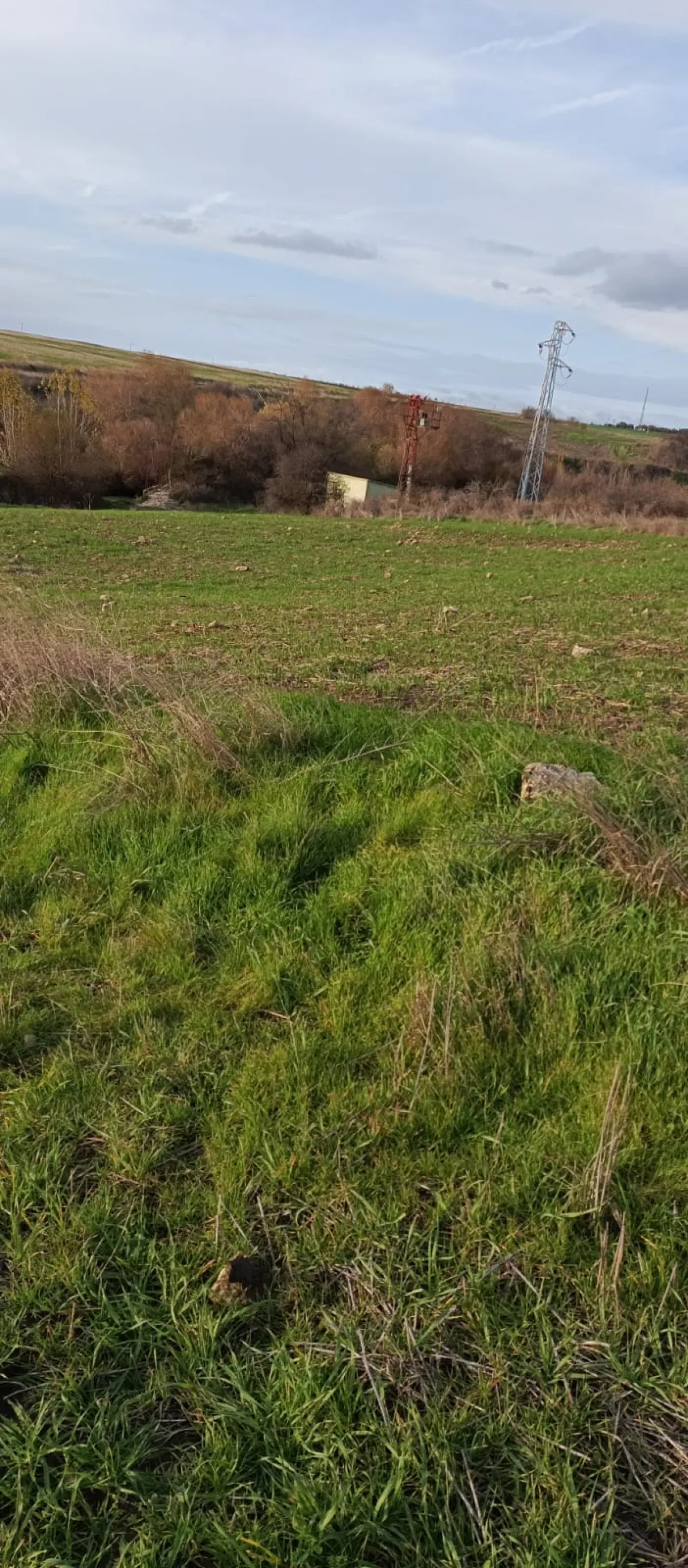 İçerisinde Çeşitli Meyve Fideleri Bulunan Su Kuyusu Yanı Başında - Büyük 4