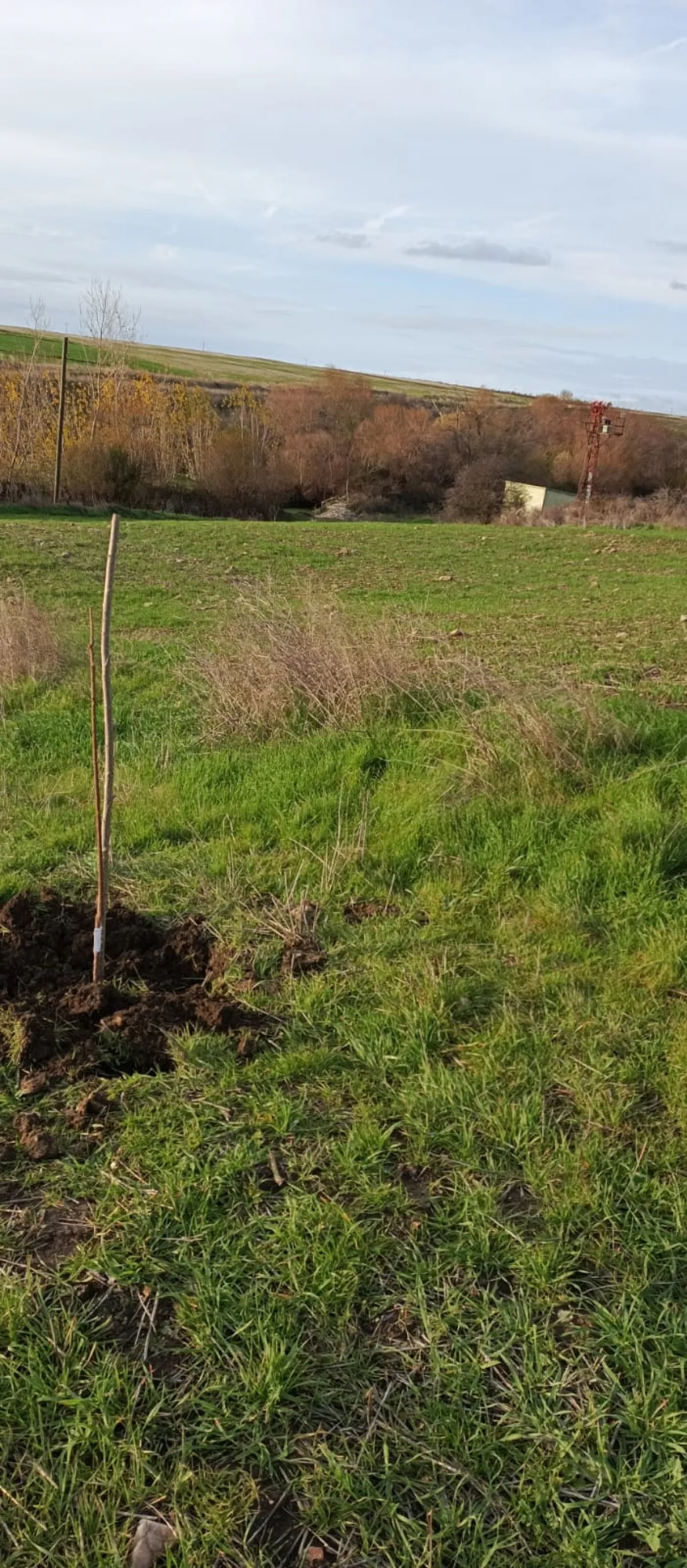 İçerisinde Çeşitli Meyve Fideleri Bulunan Su Kuyusu Yanı Başında - Büyük 5