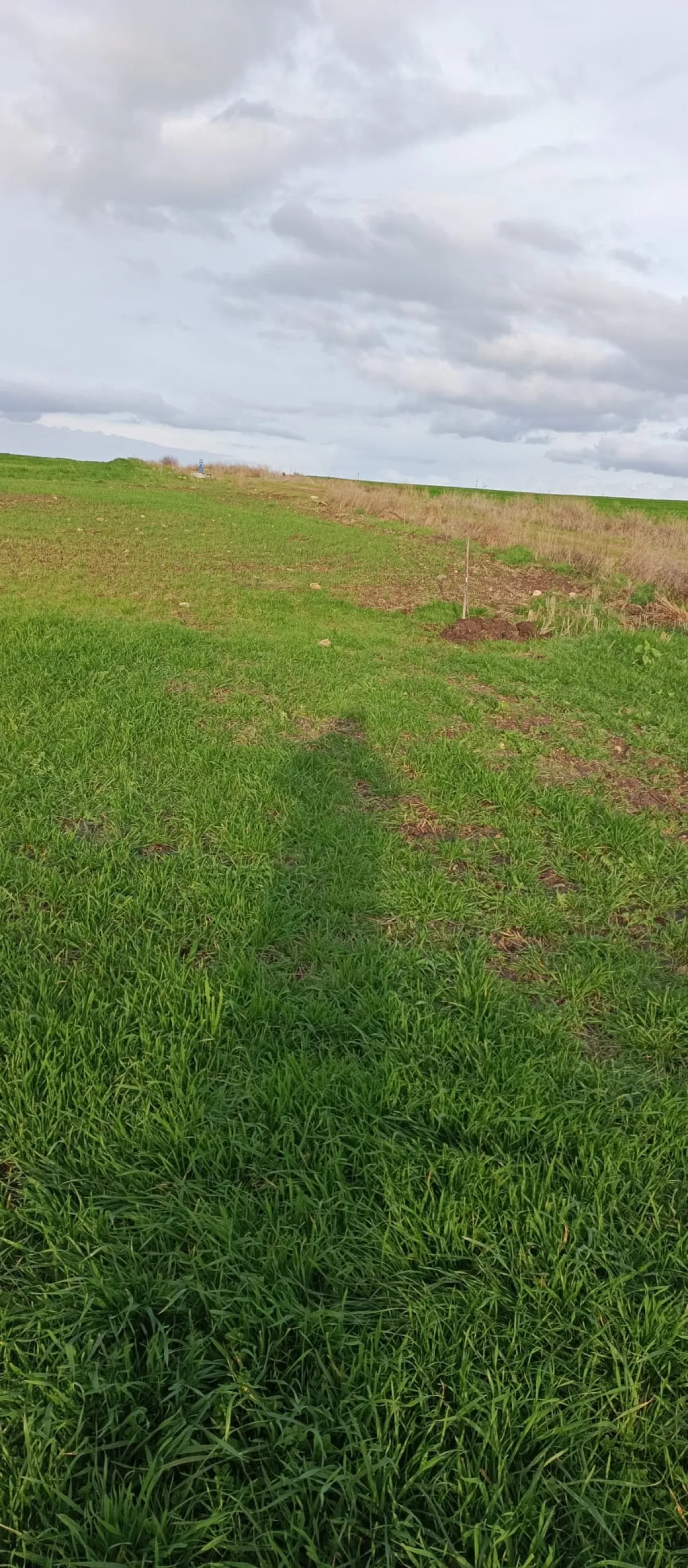 İçerisinde Çeşitli Meyve Fideleri Bulunan Su Kuyusu Yanı Başında - Büyük 7