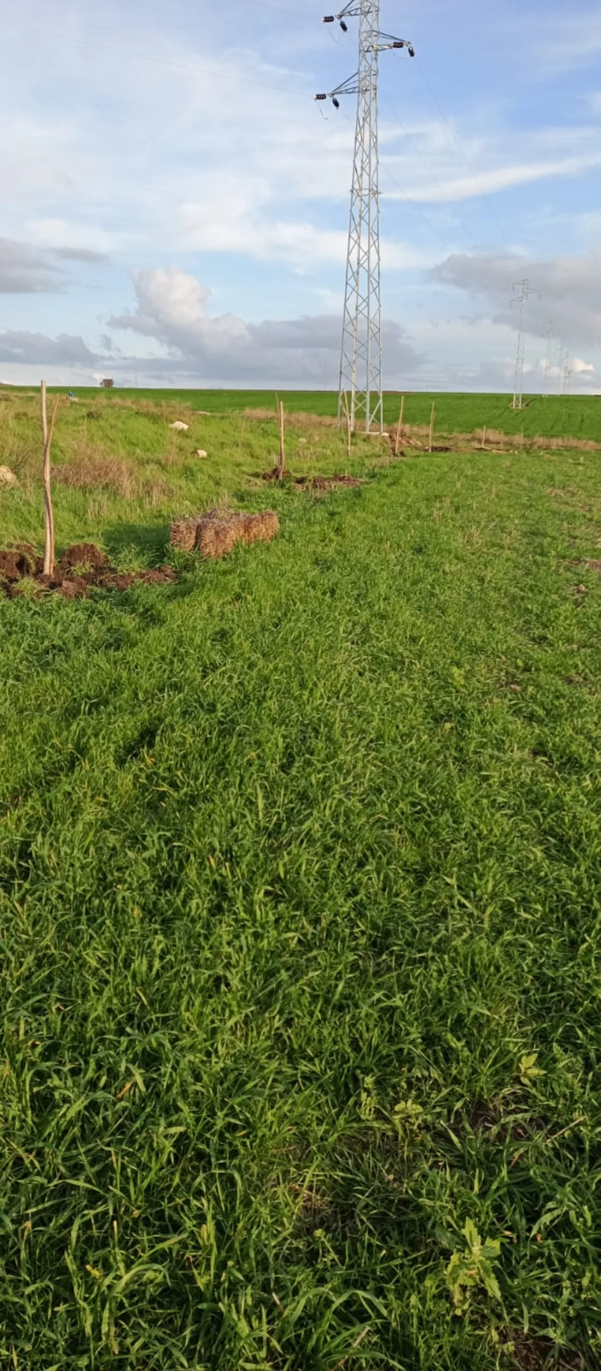 İçerisinde Çeşitli Meyve Fideleri Bulunan Su Kuyusu Yanı Başında - Büyük 8