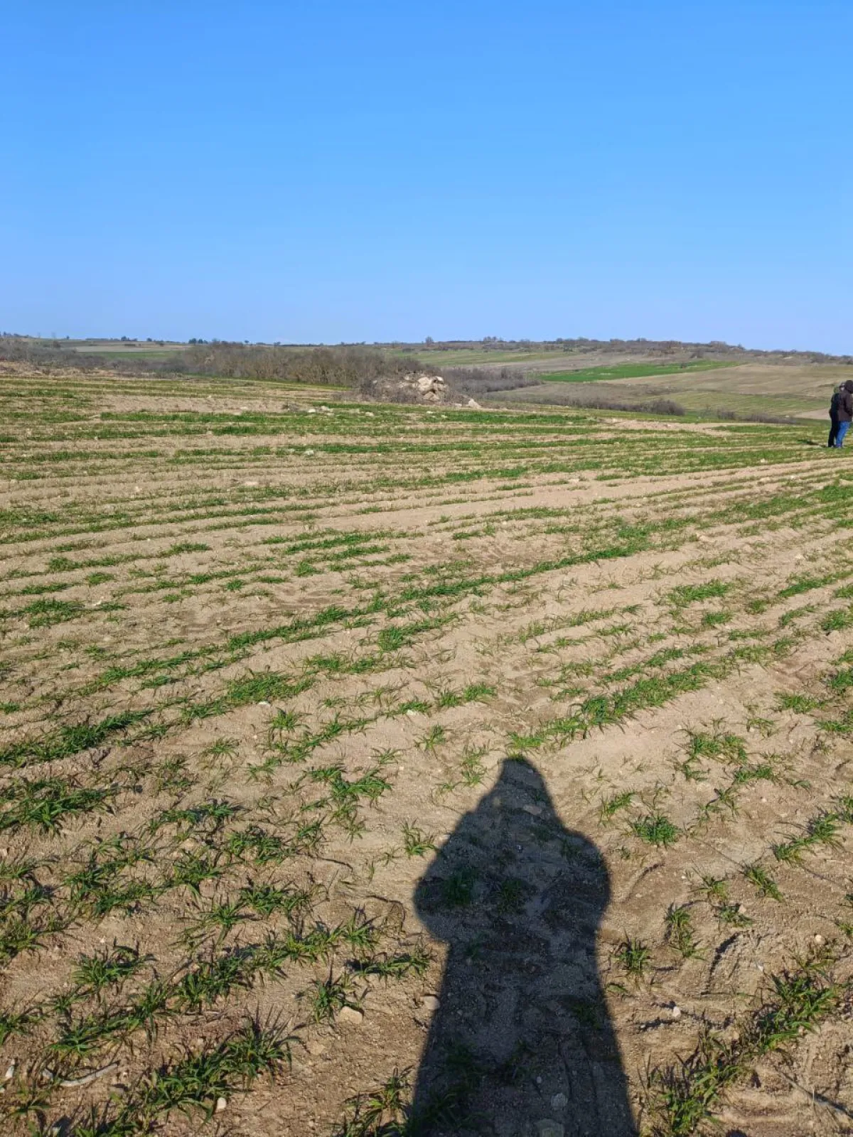 Meraya Cephe 16.700 M² Satılık Tarla - Büyük 1