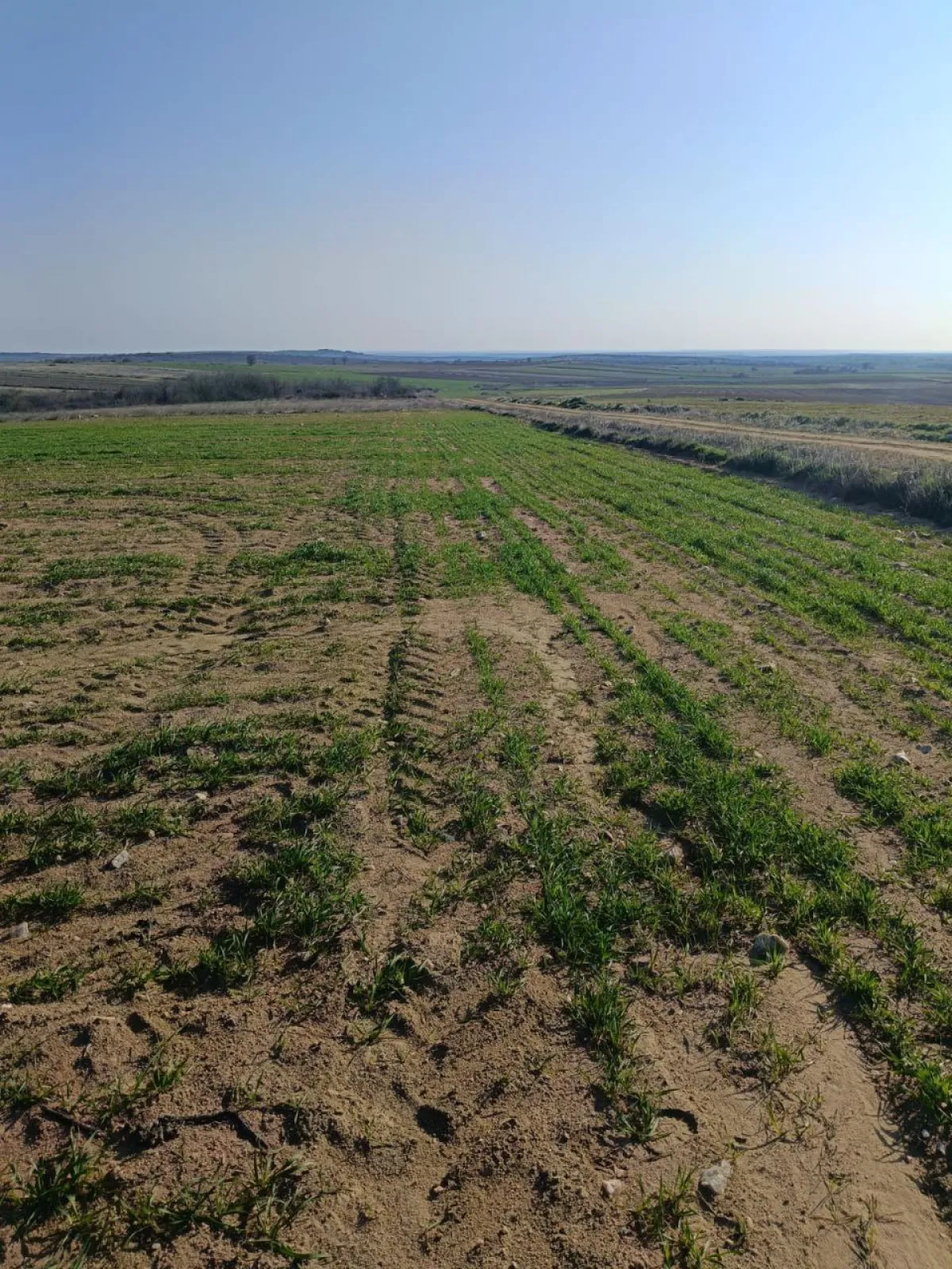 Meraya Cephe 16.700 M² Satılık Tarla - Büyük 5