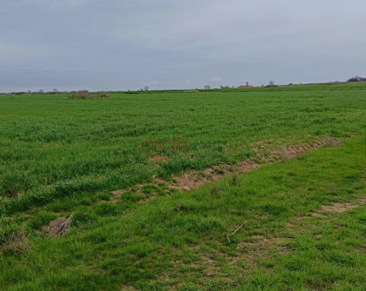 Tek Tapu 5.681 M² Satılık Tarla - Büyük 1