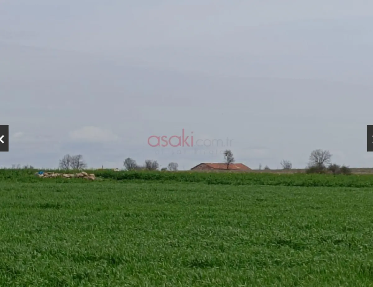 Tek Tapu 5.681 M² Satılık Tarla - Büyük 2