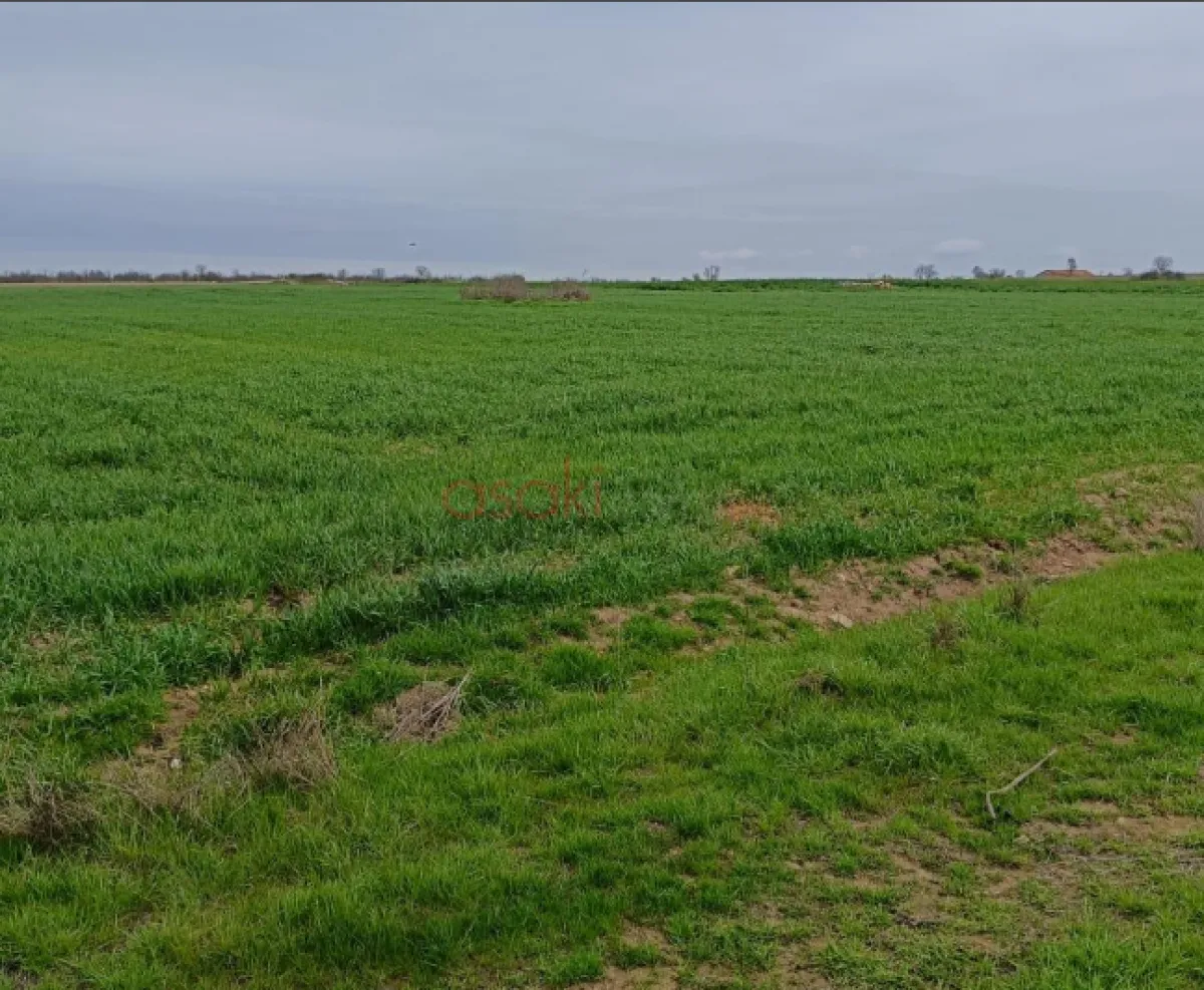 Tek Tapu 5.681 M² Satılık Tarla - Büyük 4