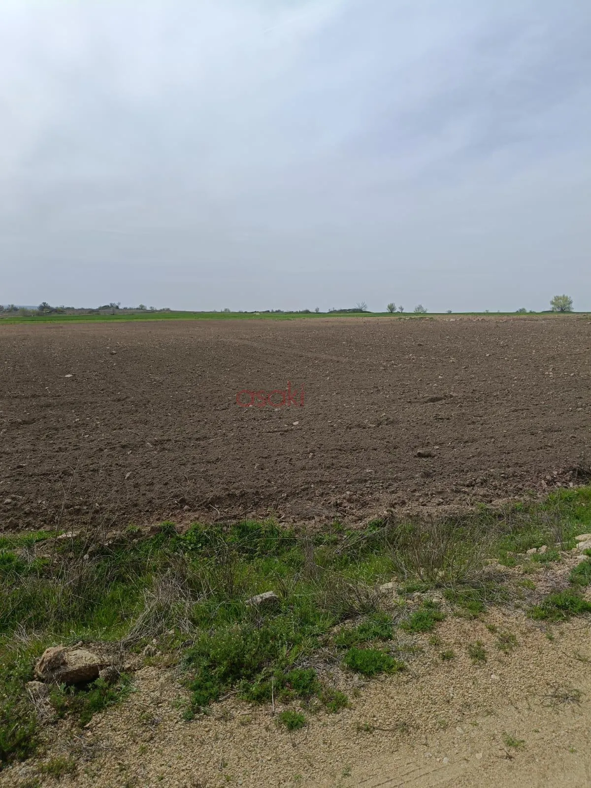5.419 M&sup2; Satılık Tarla - Büyük 1