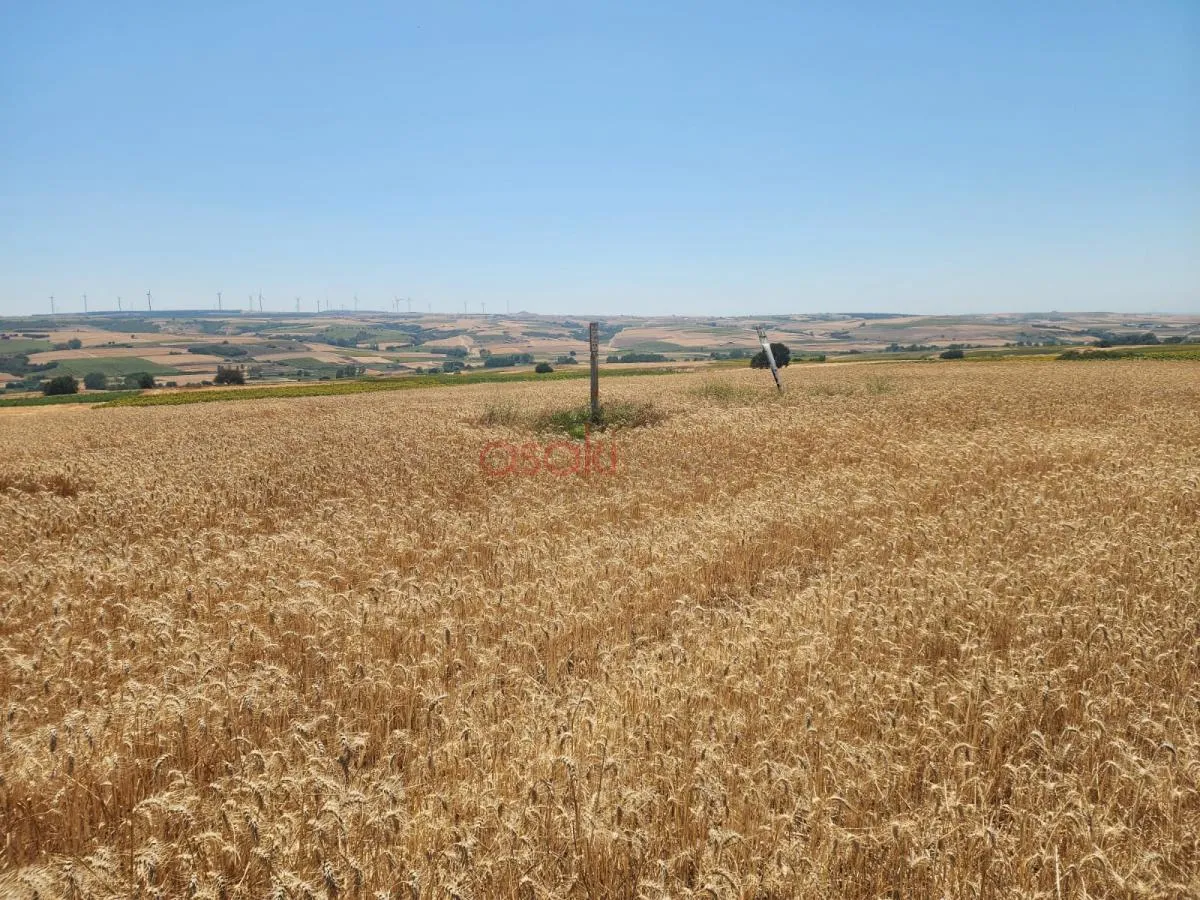 SİLİVRİ DEĞİRMENK&Ouml;Y'DE 6.417 M&sup2; M&Uuml;STAKİL PARSEL FIRSATI! 🚜 - Büyük 2